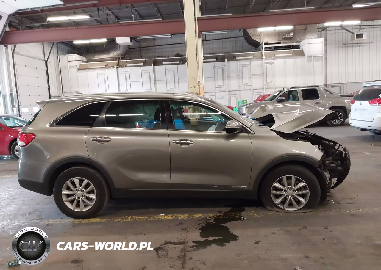 2016 Kia Sorento 3.3L Lx VIN:5XYPGDA59GG072556 - 14