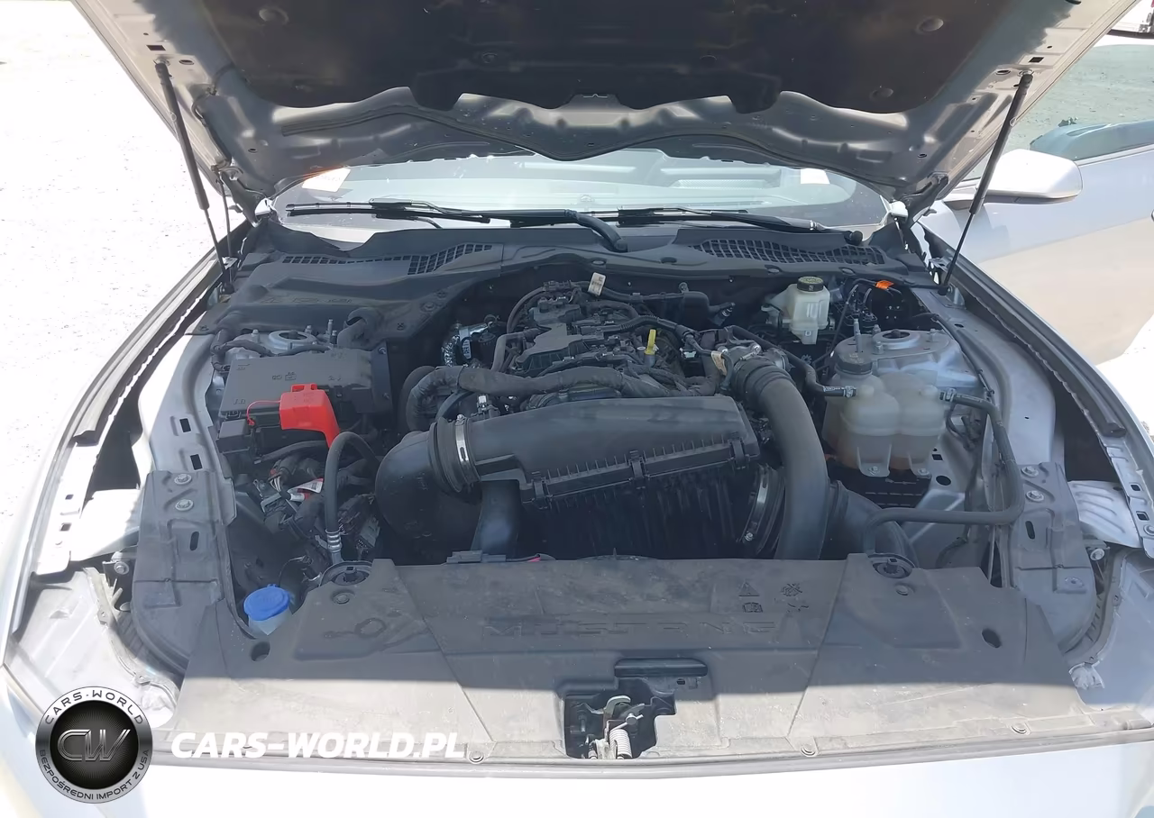 2024 Ford Mustang Ecoboost Fastback VIN:1FA6P8TH9R5111917 - 10