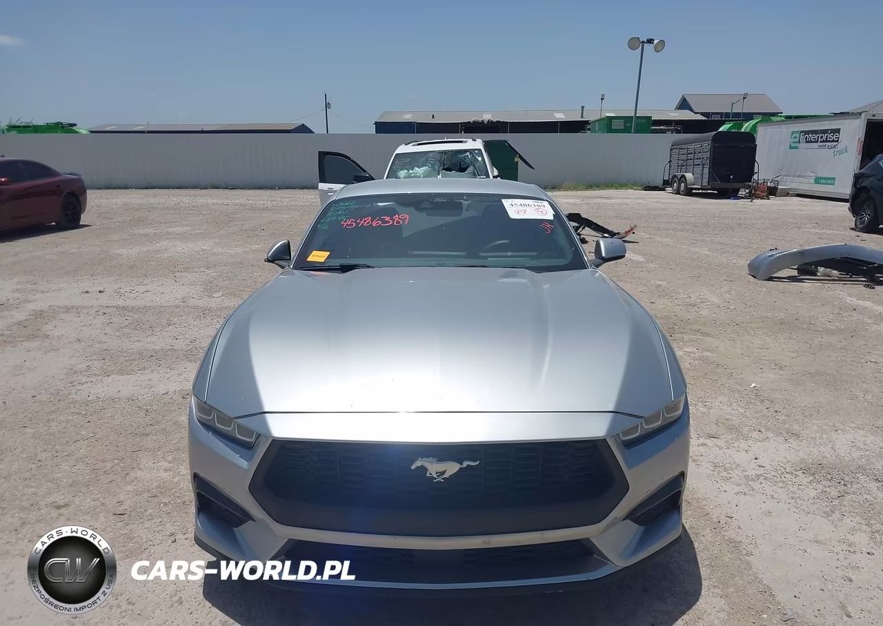 2024 Ford Mustang Ecoboost Fastback VIN:1FA6P8TH9R5111917 - 13