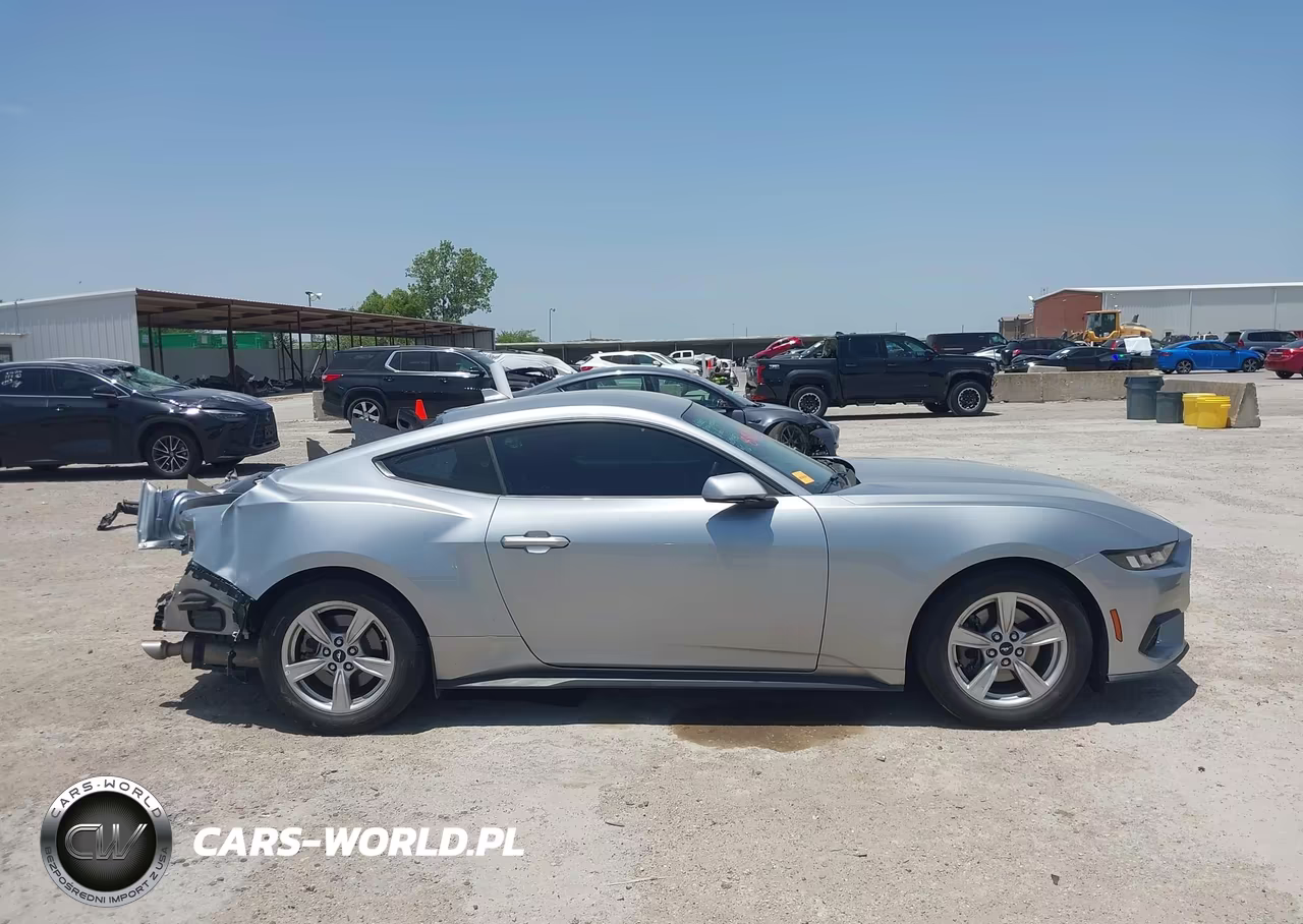 2024 Ford Mustang Ecoboost Fastback VIN:1FA6P8TH9R5111917 - 14