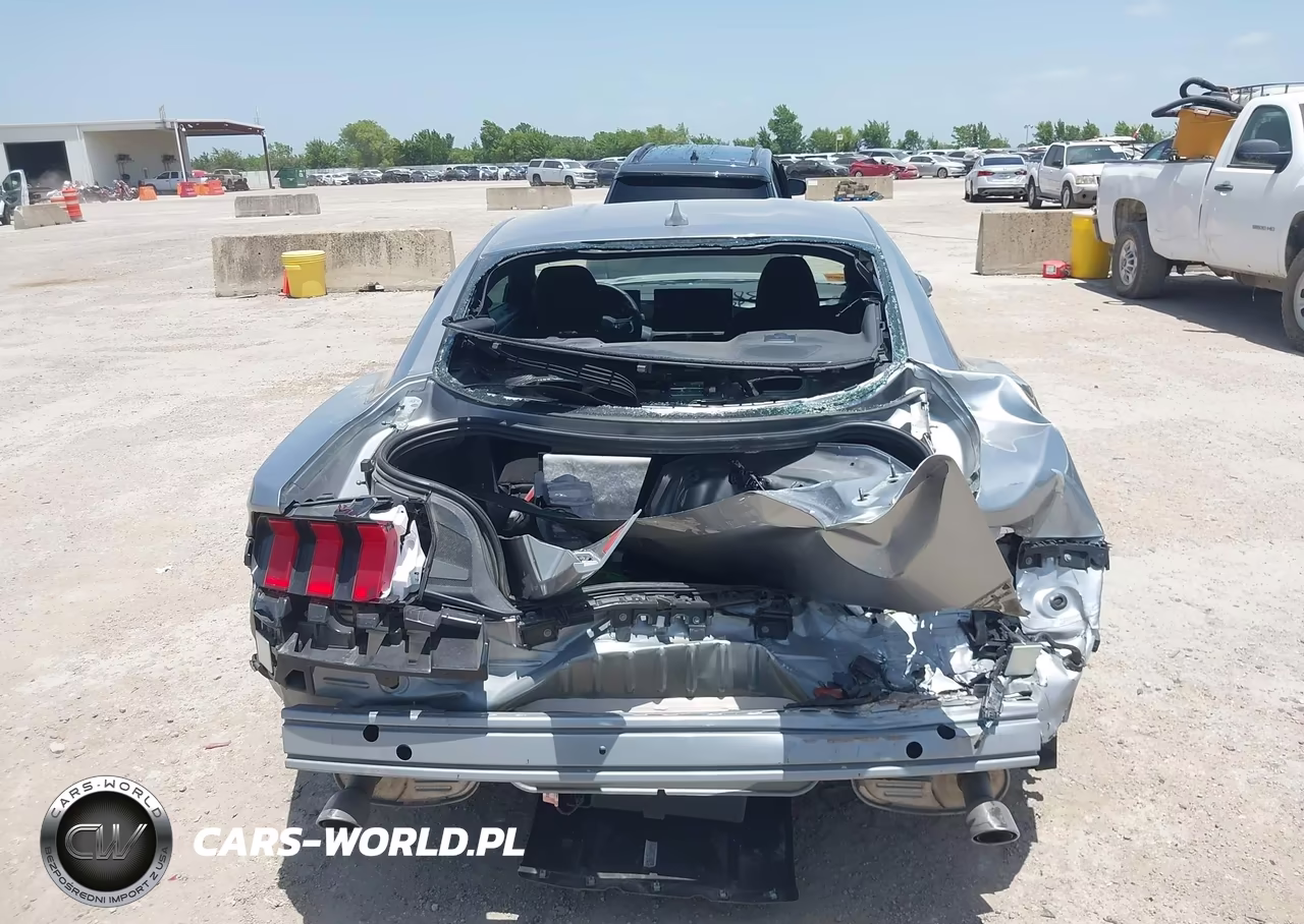 2024 Ford Mustang Ecoboost Fastback VIN:1FA6P8TH9R5111917 - 17