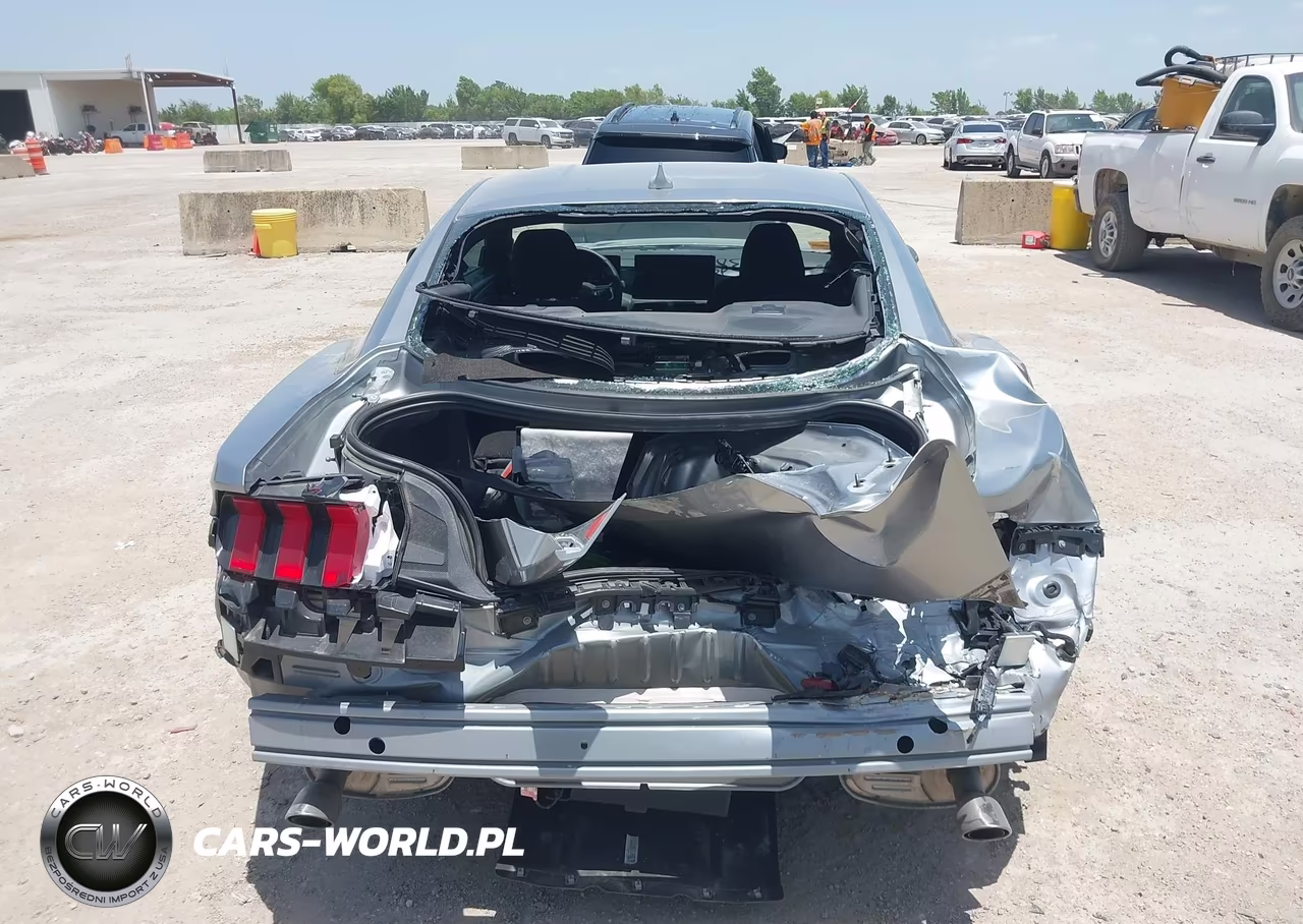 2024 Ford Mustang Ecoboost Fastback VIN:1FA6P8TH9R5111917 - 6