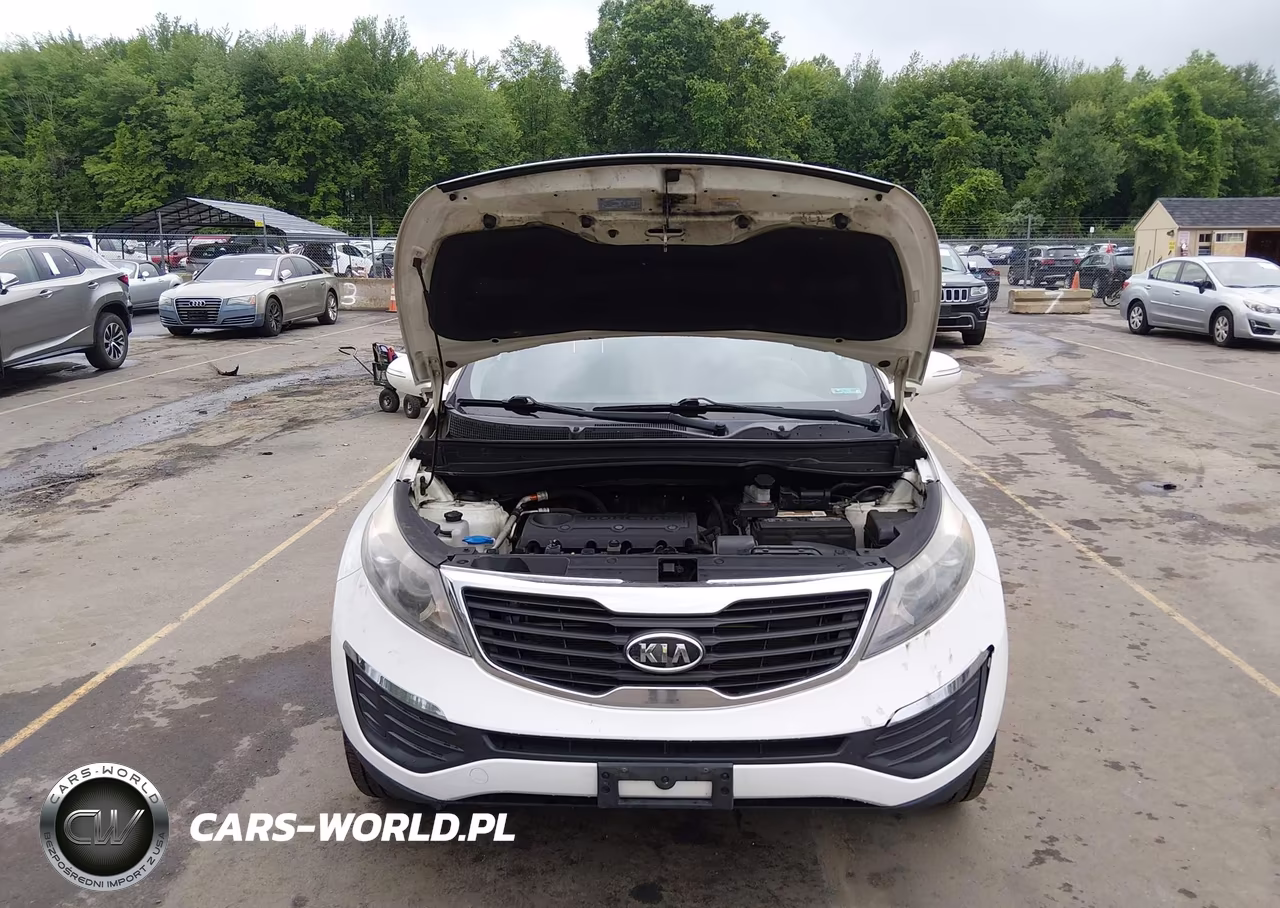 2012 Kia Sportage Lx VIN:KNDPBCA20C7249565 - 10