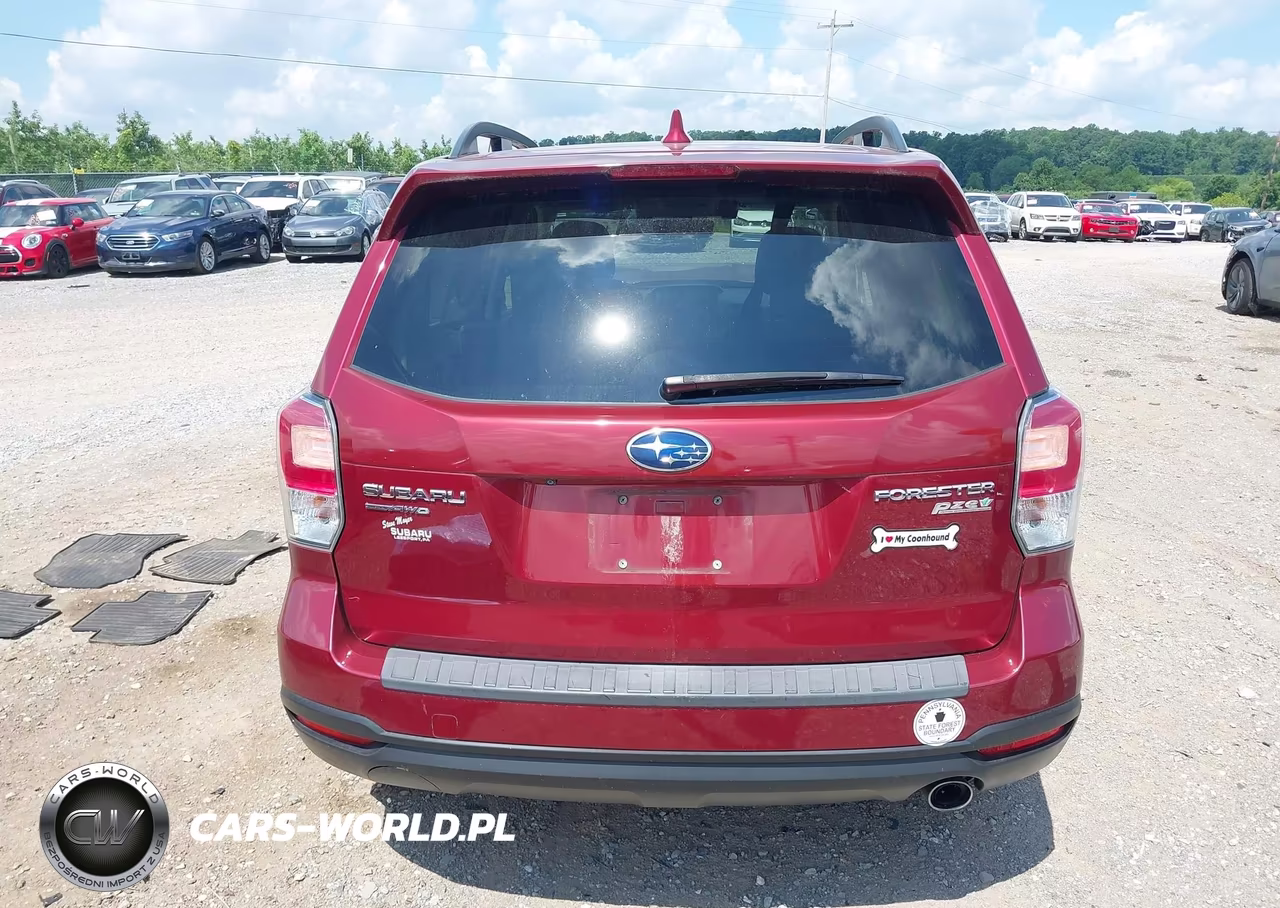 2017 Subaru Forester 2.5I Premium VIN:JF2SJAGCXHH484236 - 16