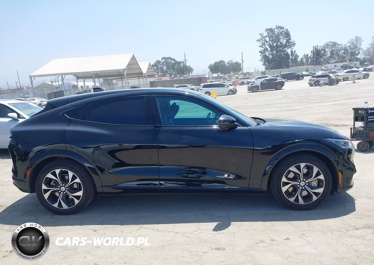 2023 Ford Mustang Mach-E Premium VIN:3FMTK3SU4PMA96985 - 12