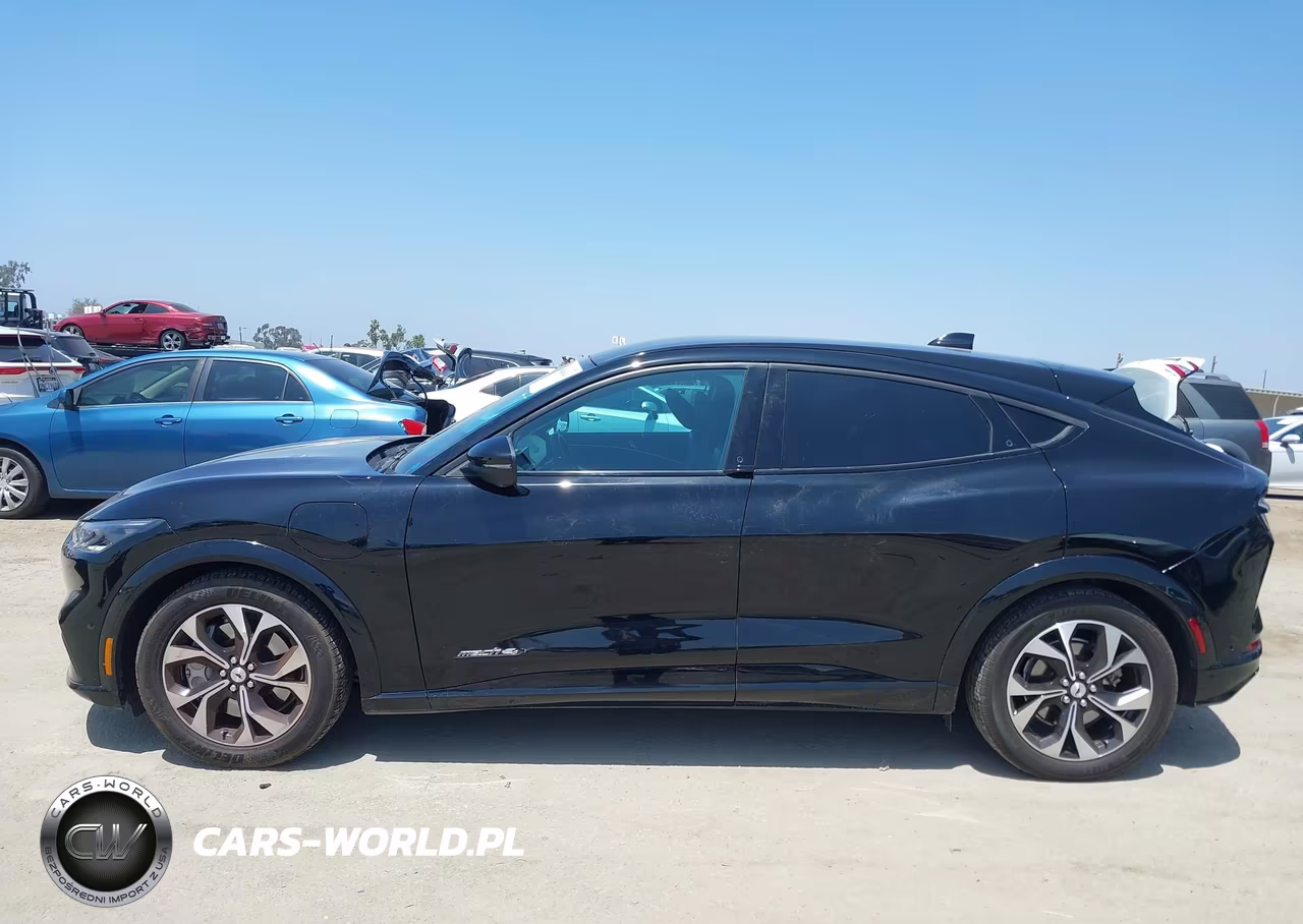 2023 Ford Mustang Mach-E Premium VIN:3FMTK3SU4PMA96985 - 13