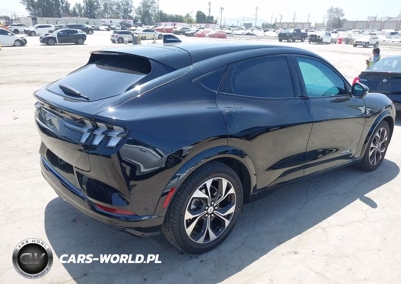 2023 Ford Mustang Mach-E Premium VIN:3FMTK3SU4PMA96985 - 4