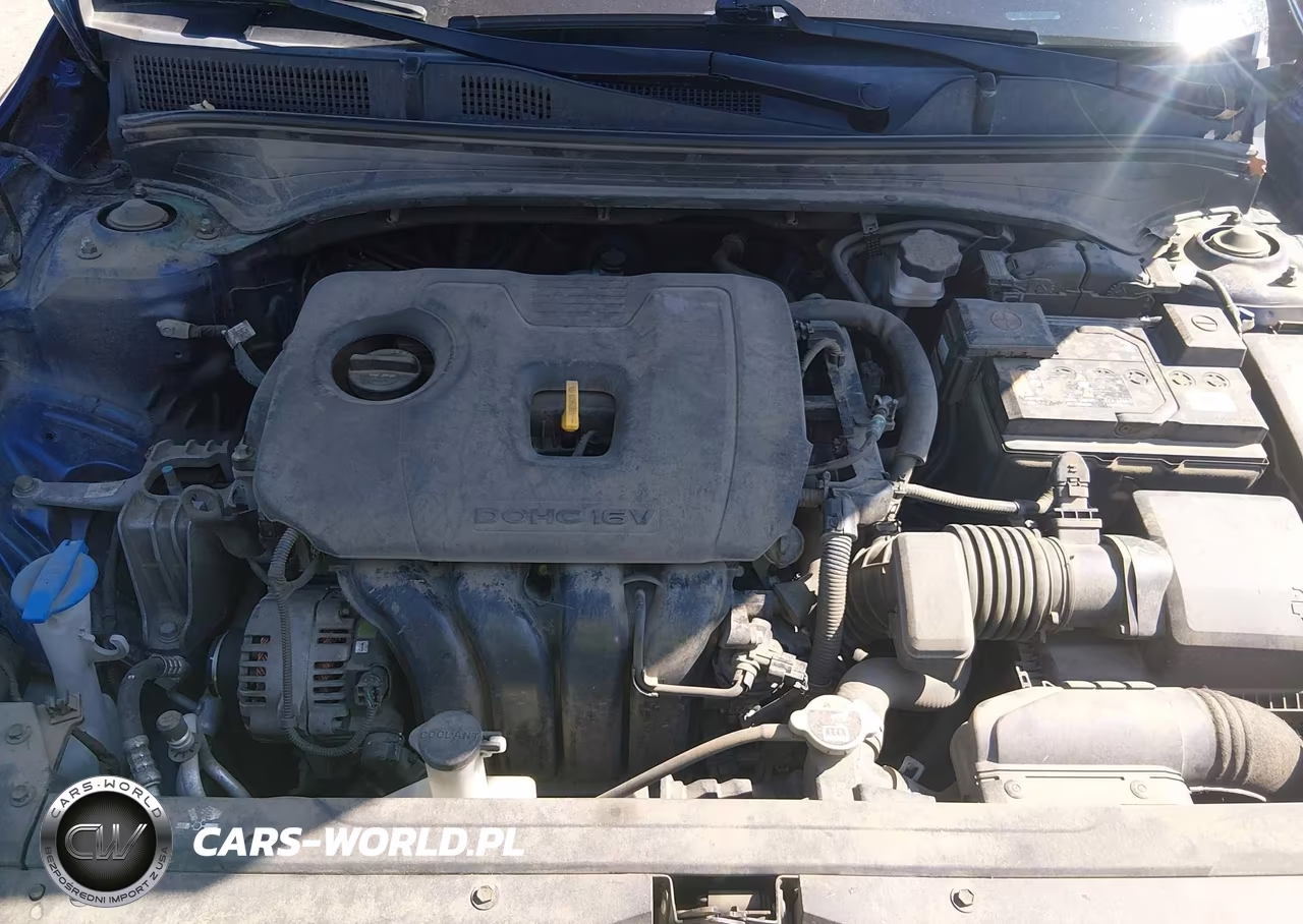 2019 Kia Forte Lxs VIN:3KPF24AD5KE071329 - 10