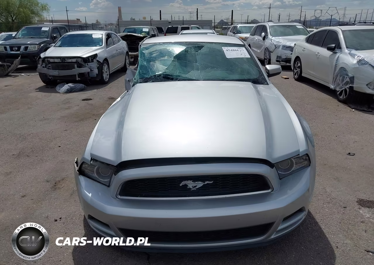 2013 Ford Mustang V6-V6 Premium VIN:1ZVBP8AM5D5262591 - 12