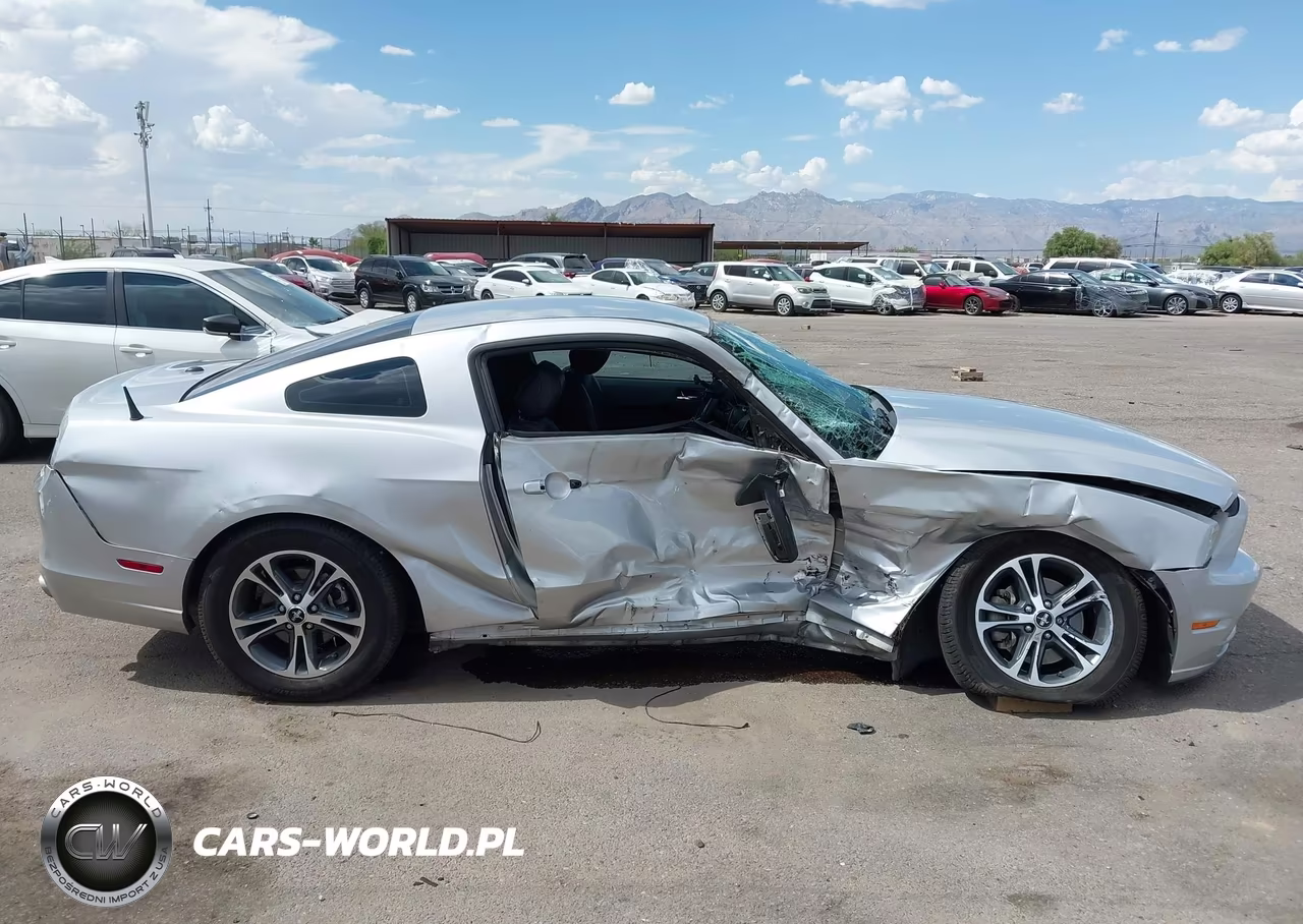 2013 Ford Mustang V6-V6 Premium VIN:1ZVBP8AM5D5262591 - 13