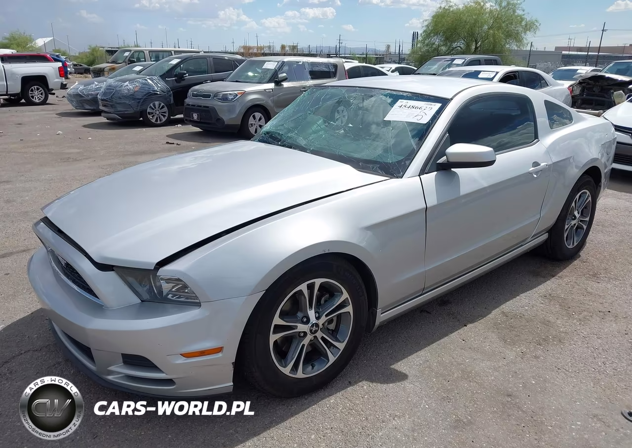 2013 Ford Mustang V6-V6 Premium VIN:1ZVBP8AM5D5262591 - 2