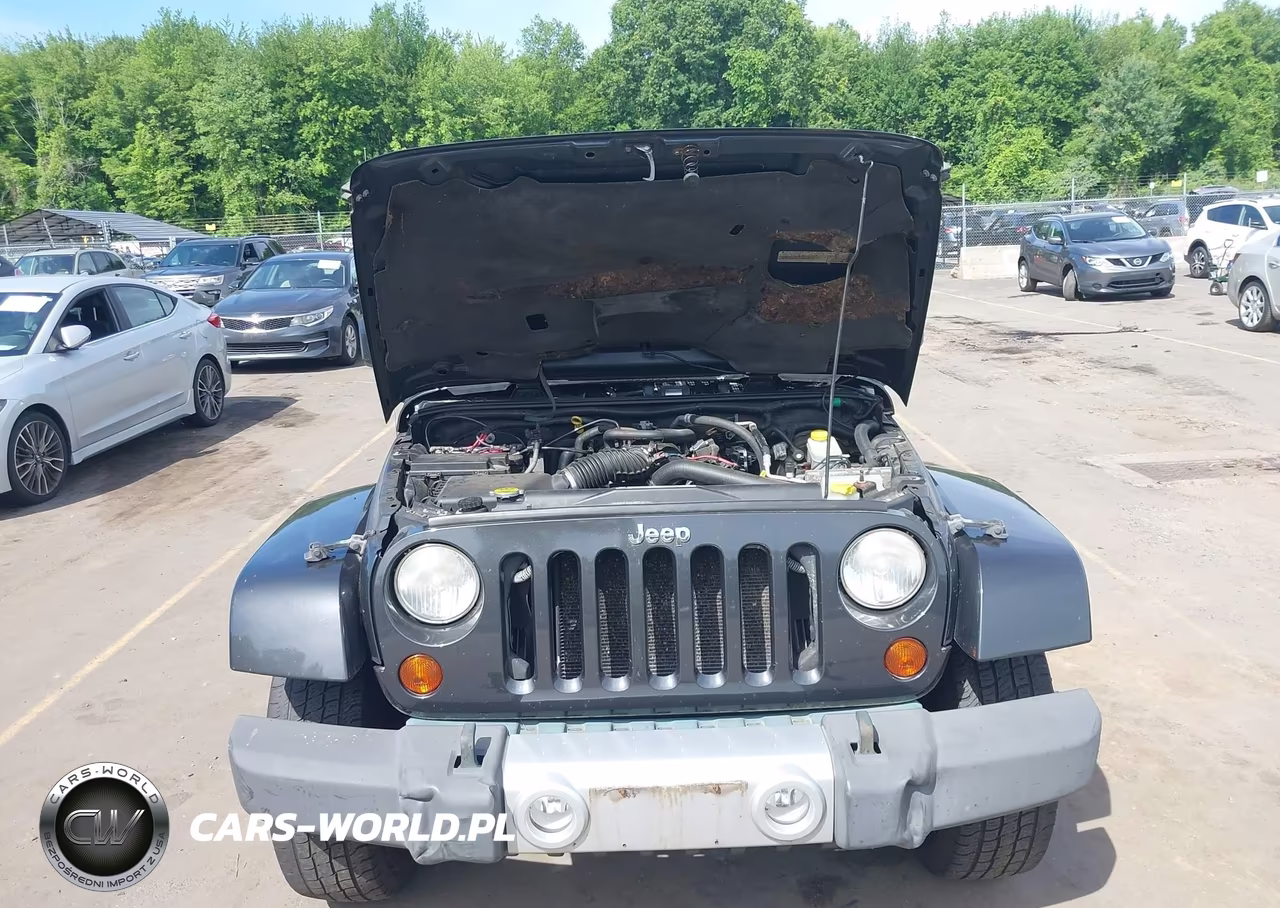 2010 Jeep Wrangler Unlimited Sahara VIN:1J4HA5H14AL125667 - 10