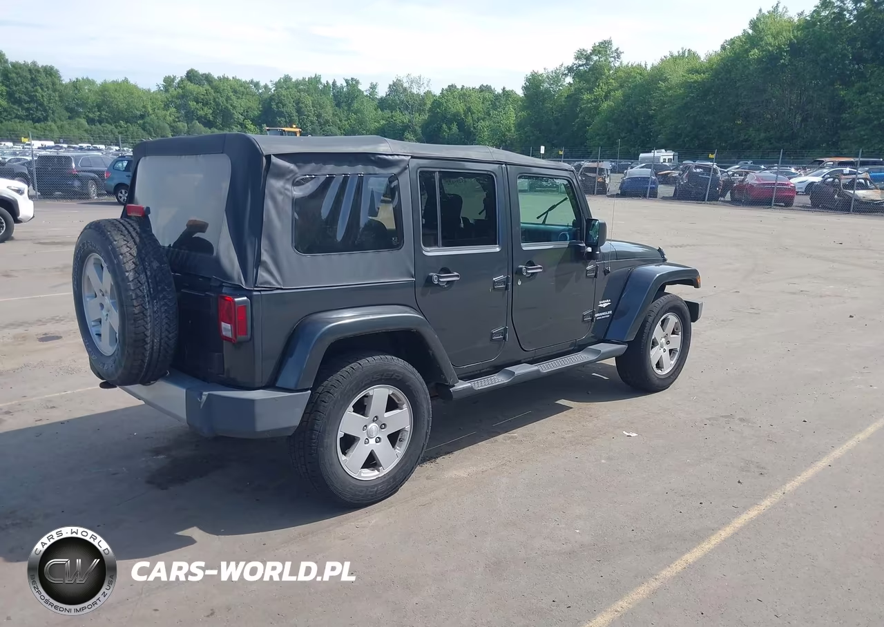 2010 Jeep Wrangler Unlimited Sahara VIN:1J4HA5H14AL125667 - 4