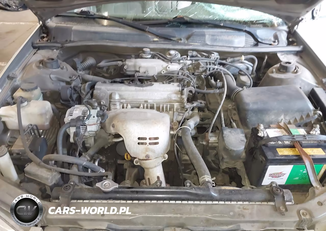 1997 Toyota Camry Le VIN:JT2BG22K8V0090819 - 10