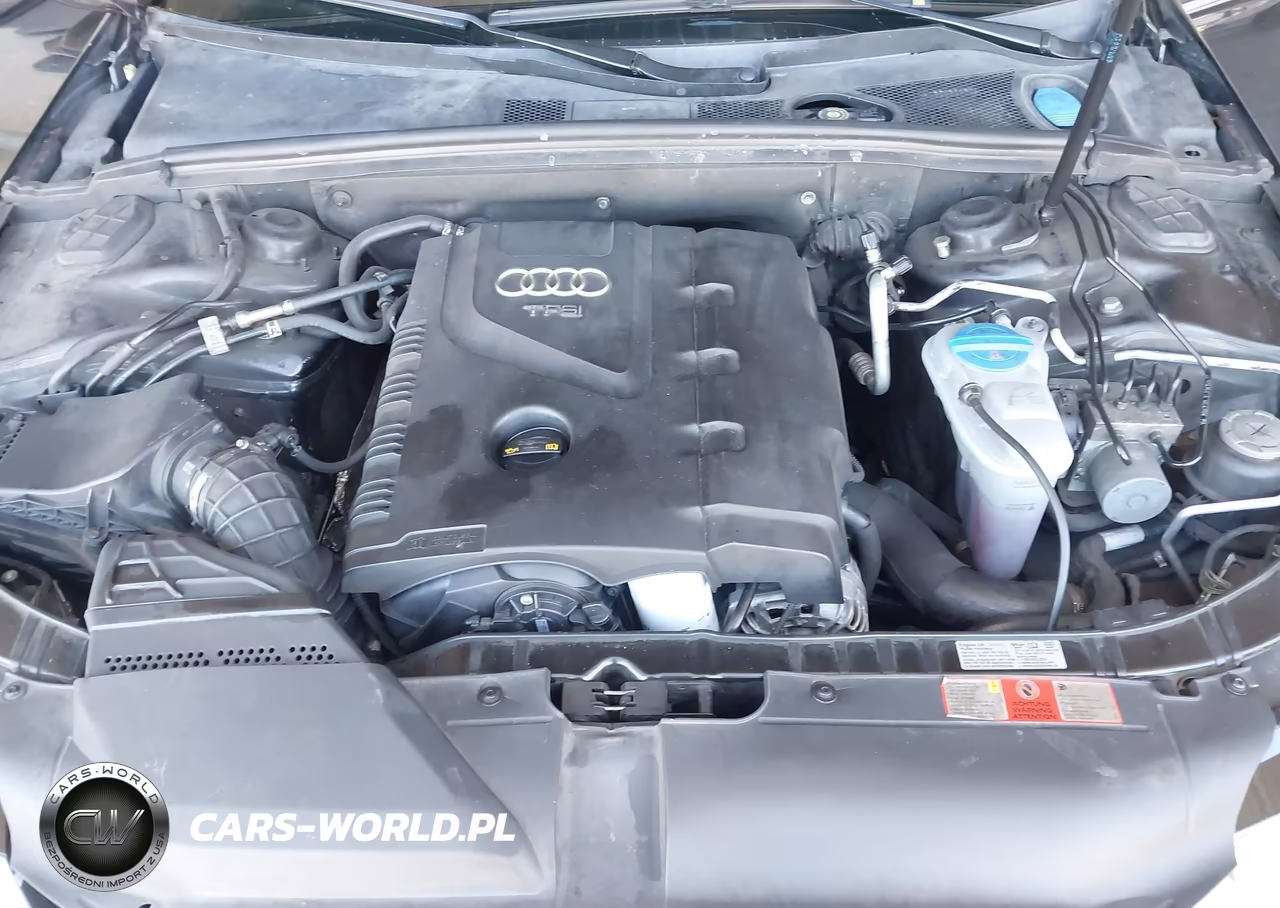 2010 Audi A4 2.0T Premium VIN:WAUFFAFL6AN045574 - 10
