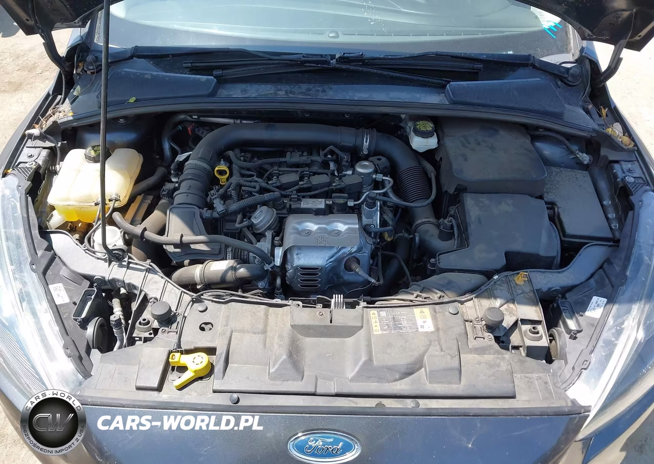 2018 Ford Focus Se VIN:1FADP3FE3JL209062 - 10