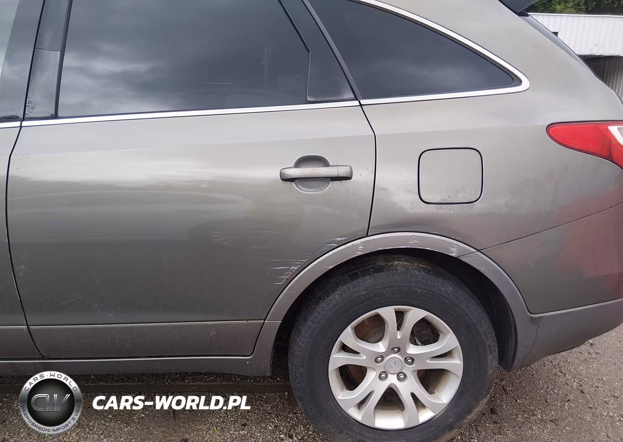 2009 Hyundai Veracruz Gls VIN:KM8NU13C79U080033 - 6