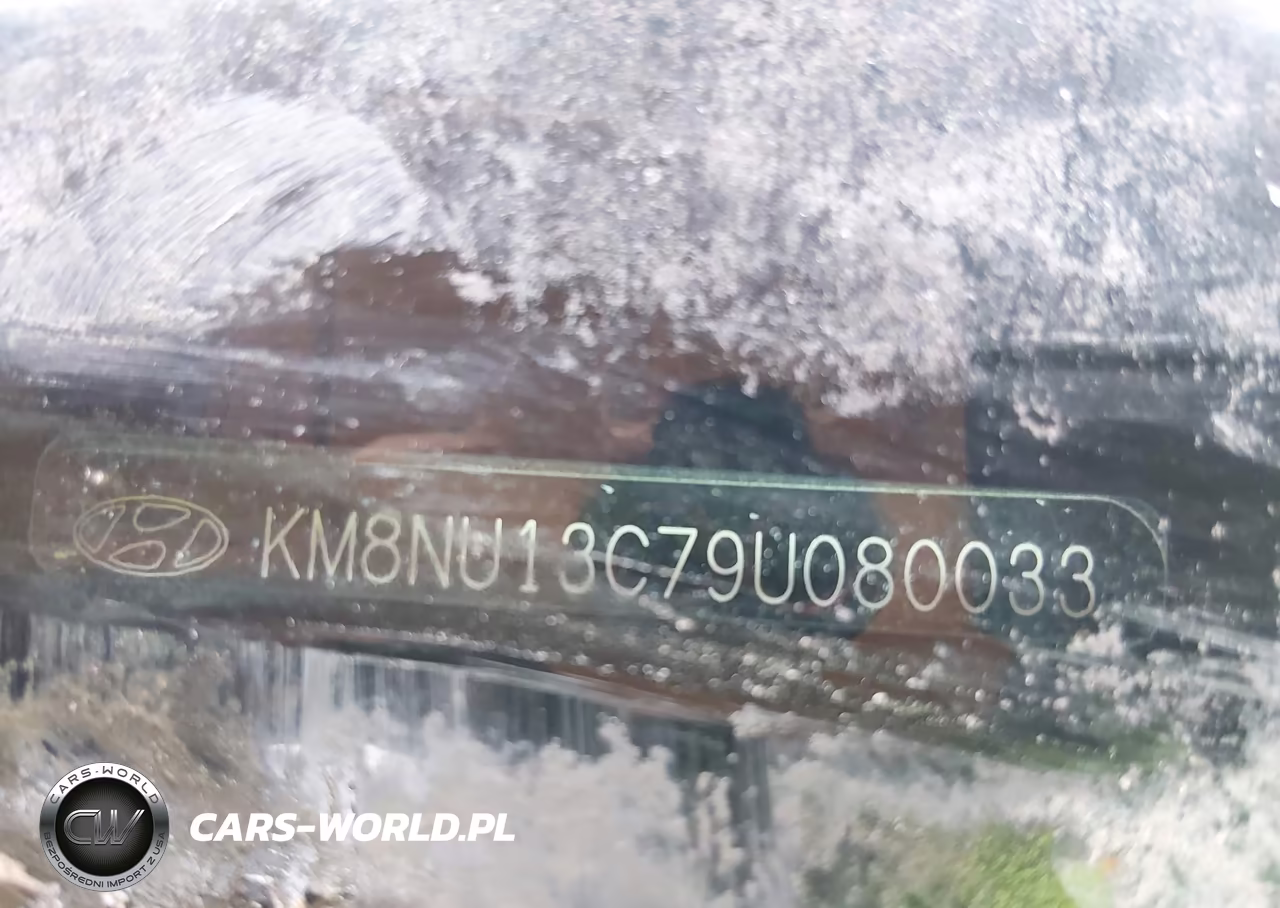 2009 Hyundai Veracruz Gls VIN:KM8NU13C79U080033 - 9