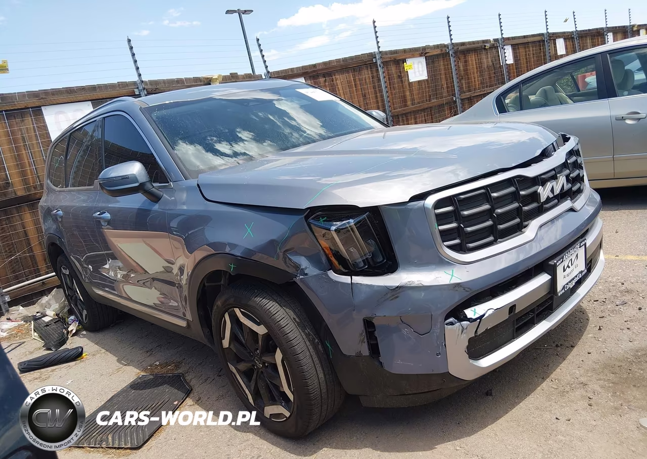 2025 Kia Telluride S VIN:5XYP6DGC2SG683675 - 1
