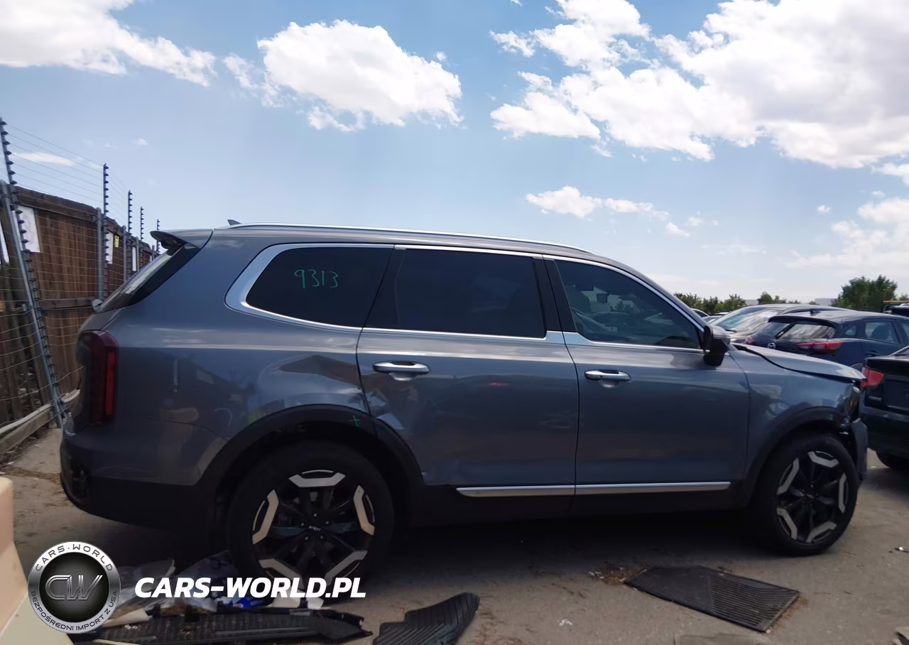 2025 Kia Telluride S VIN:5XYP6DGC2SG683675 - 13