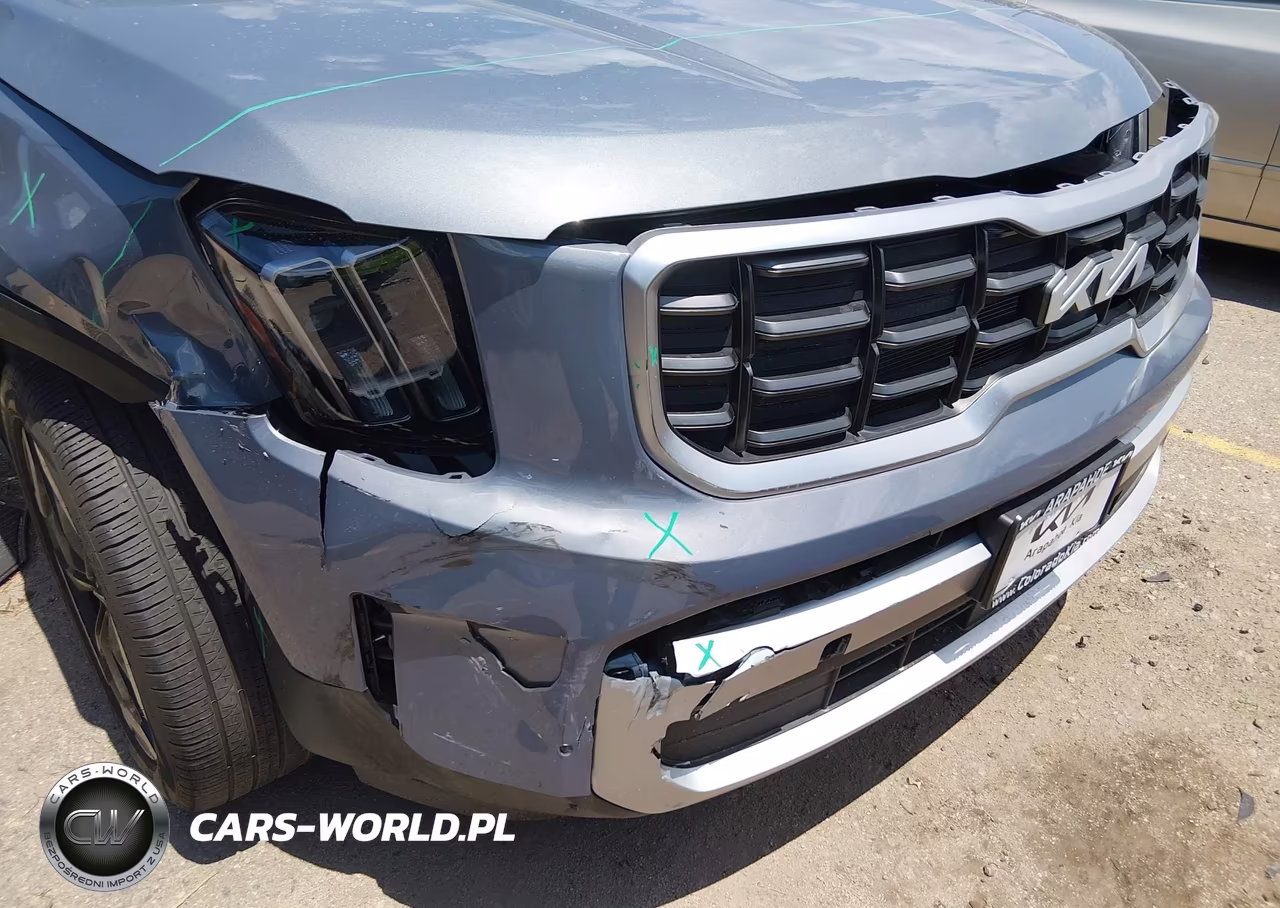 2025 Kia Telluride S VIN:5XYP6DGC2SG683675 - 17