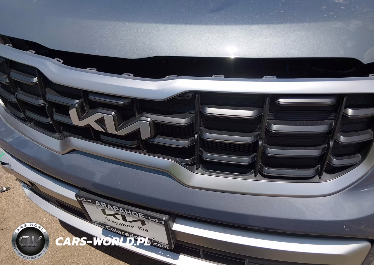 2025 Kia Telluride S VIN:5XYP6DGC2SG683675 - 19