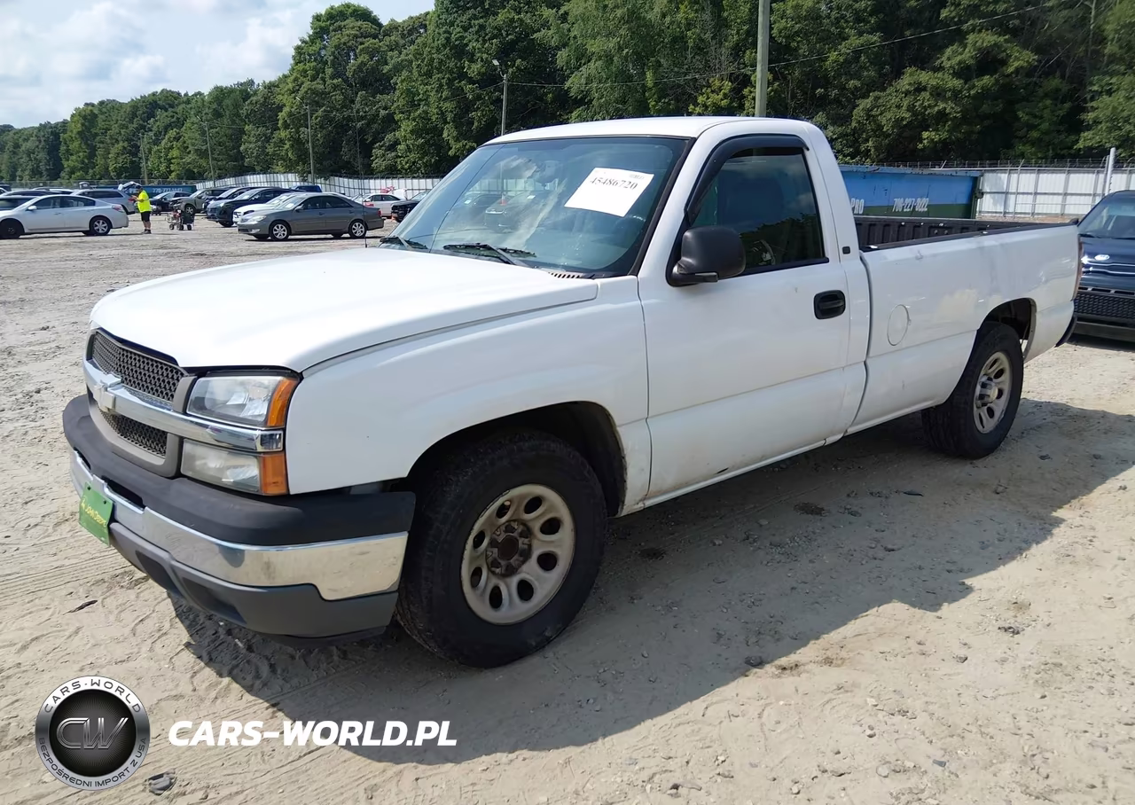 2005 Chevrolet Silverado 1500 Work Truck VIN:1GCEC14VX5Z213548 - 2