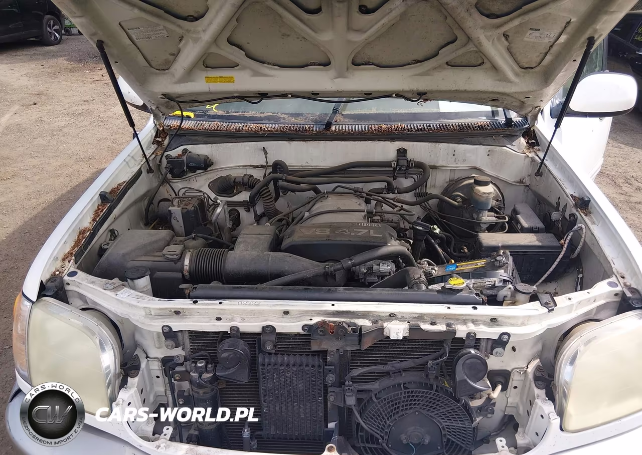 2002 Toyota Sequoia Sr5 V8 VIN:5TDZT34A02S128841 - 10