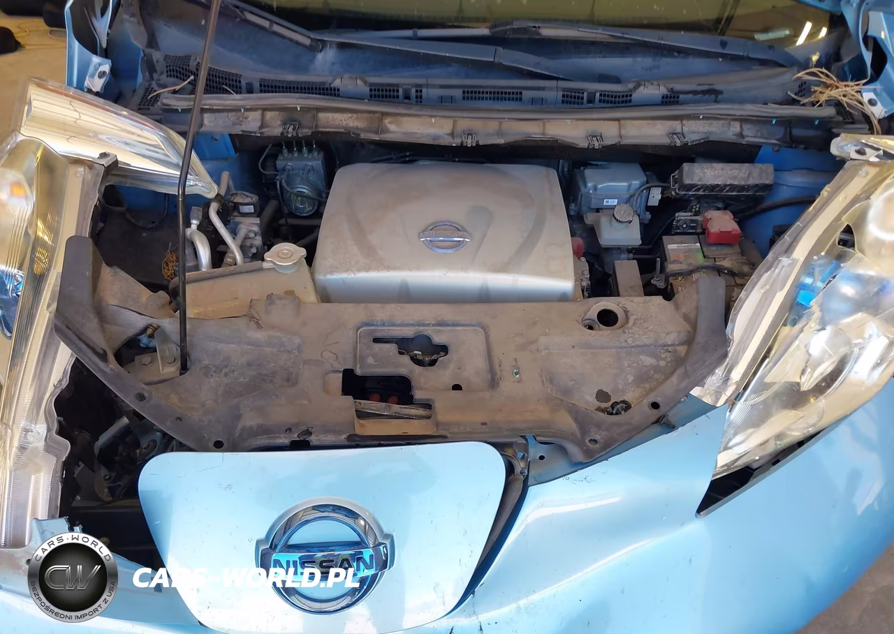 2015 Nissan Leaf Sl VIN:1N4AZ0CP5FC317594 - 10