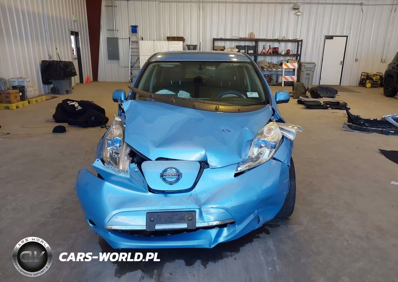2015 Nissan Leaf Sl VIN:1N4AZ0CP5FC317594 - 12