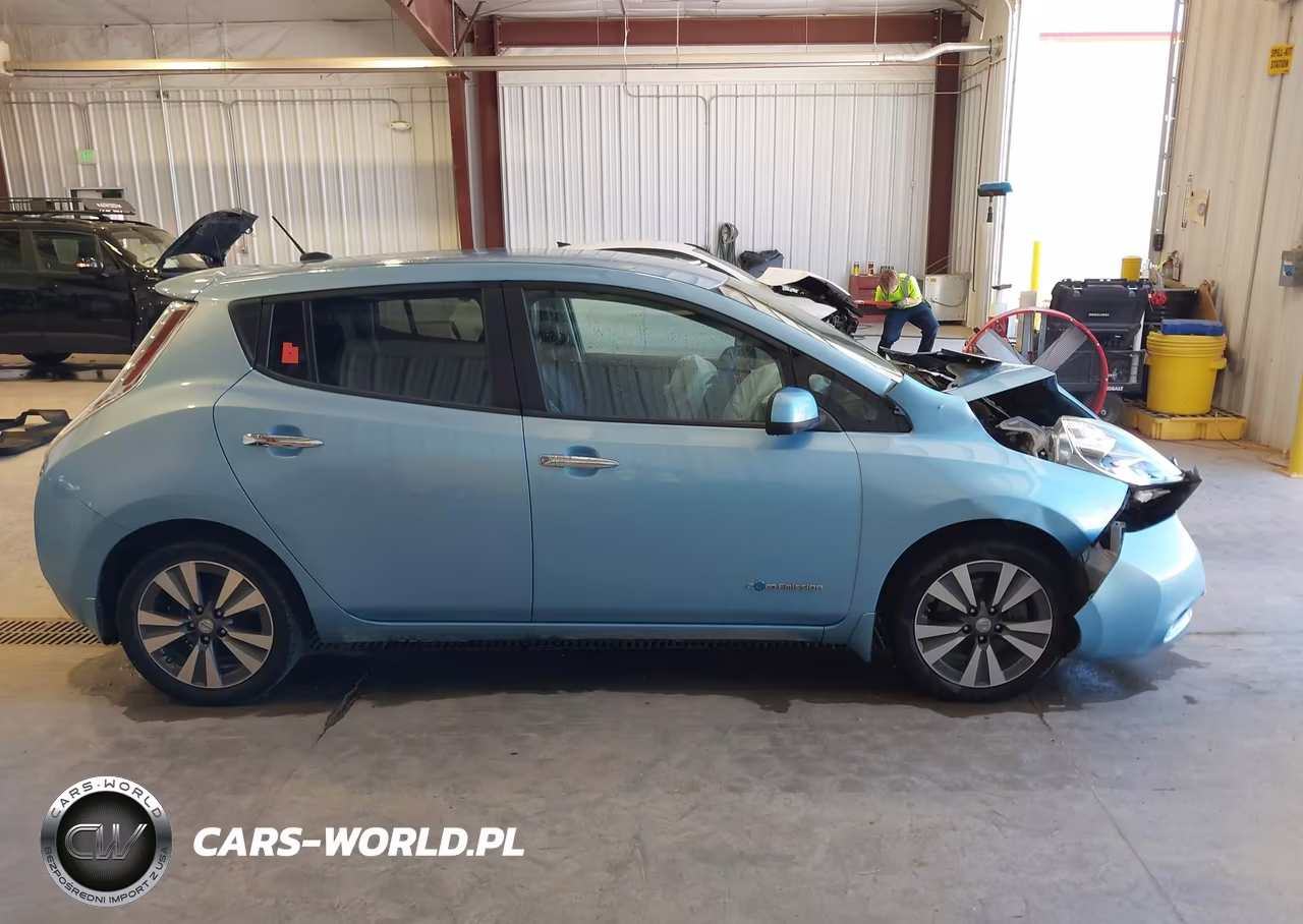 2015 Nissan Leaf Sl VIN:1N4AZ0CP5FC317594 - 13