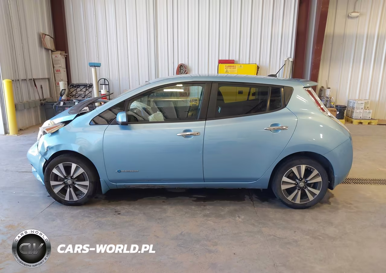 2015 Nissan Leaf Sl VIN:1N4AZ0CP5FC317594 - 14