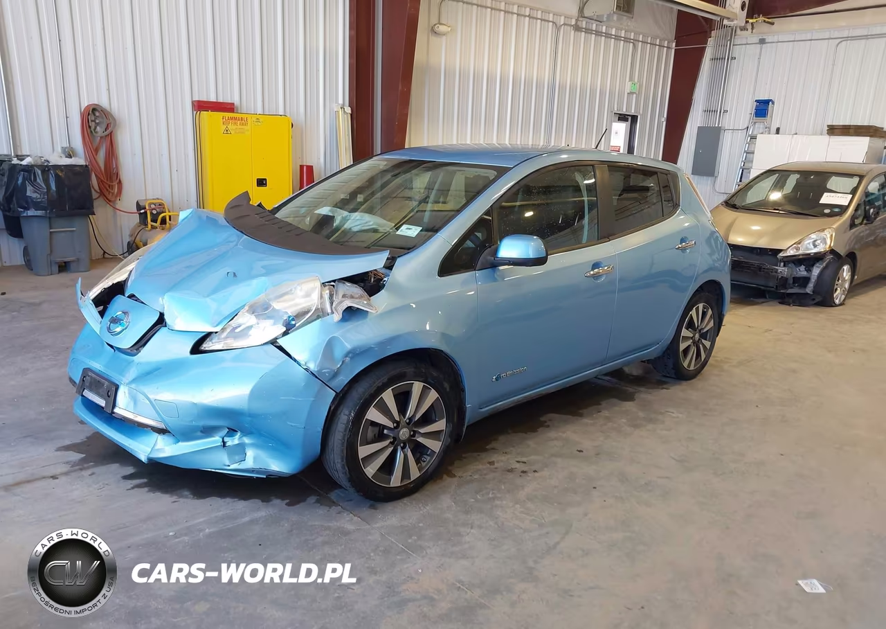 2015 Nissan Leaf Sl VIN:1N4AZ0CP5FC317594 - 2