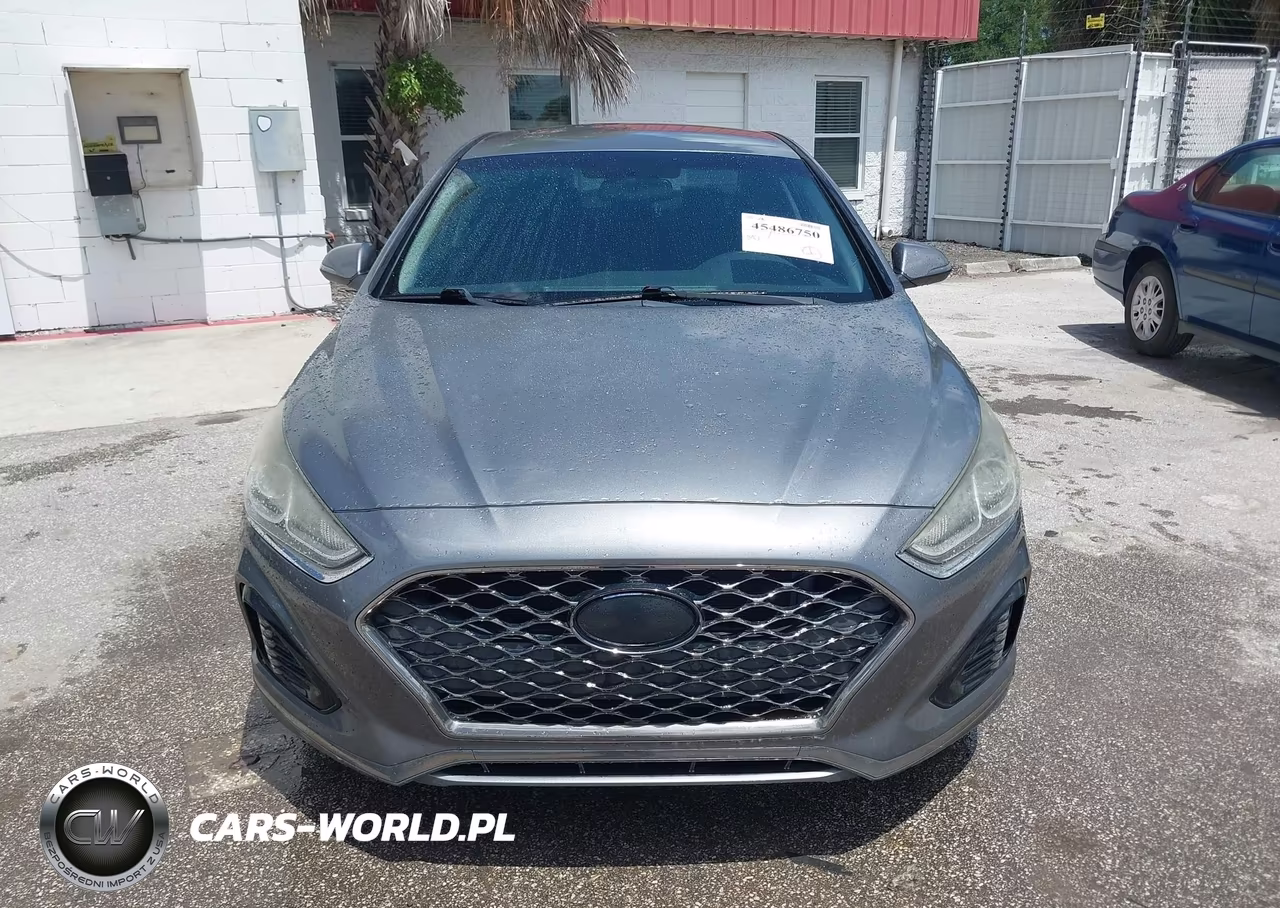 2019 Hyundai Sonata Sel VIN:5NPE34AF6KH741346 - 12