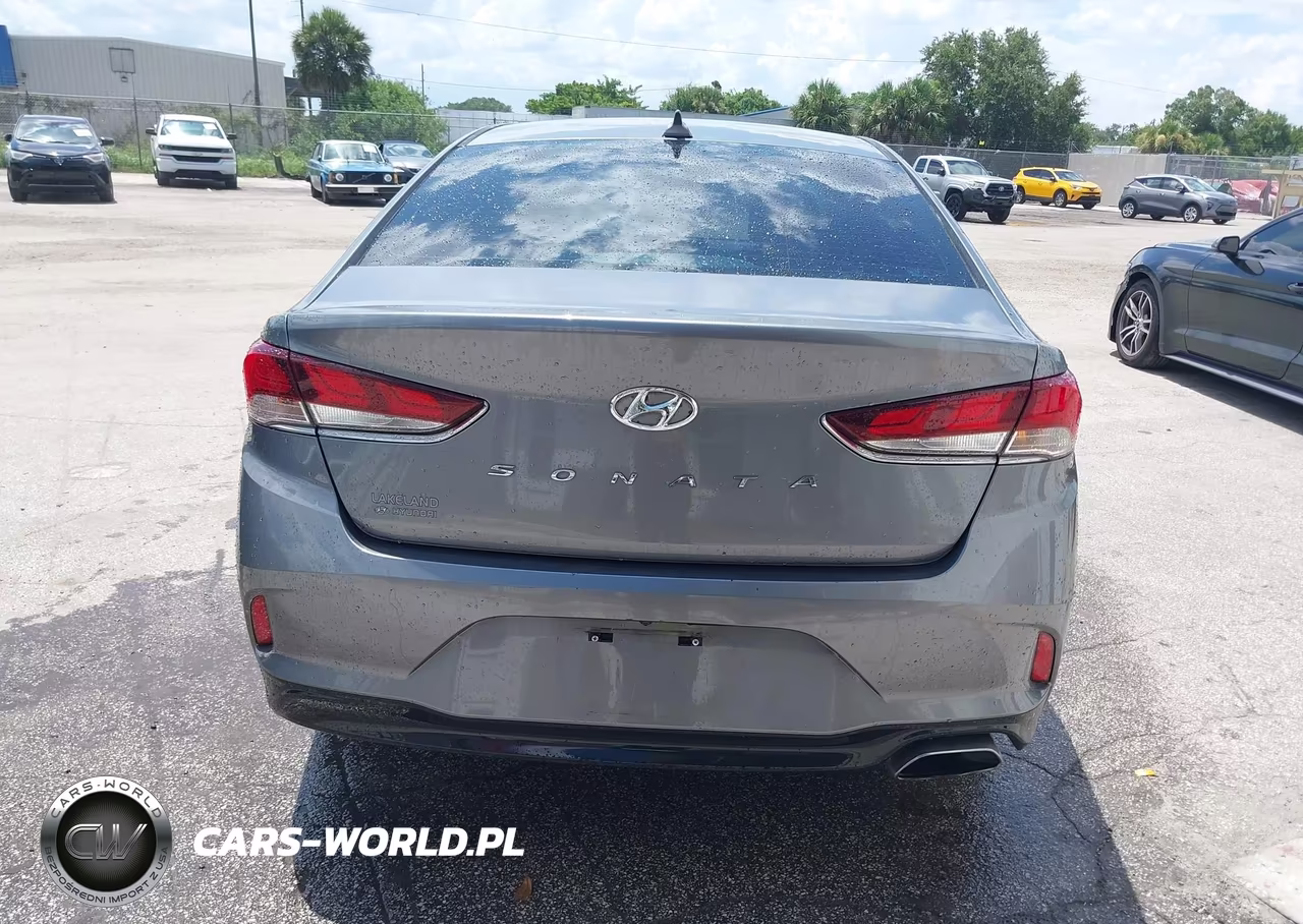 2019 Hyundai Sonata Sel VIN:5NPE34AF6KH741346 - 16