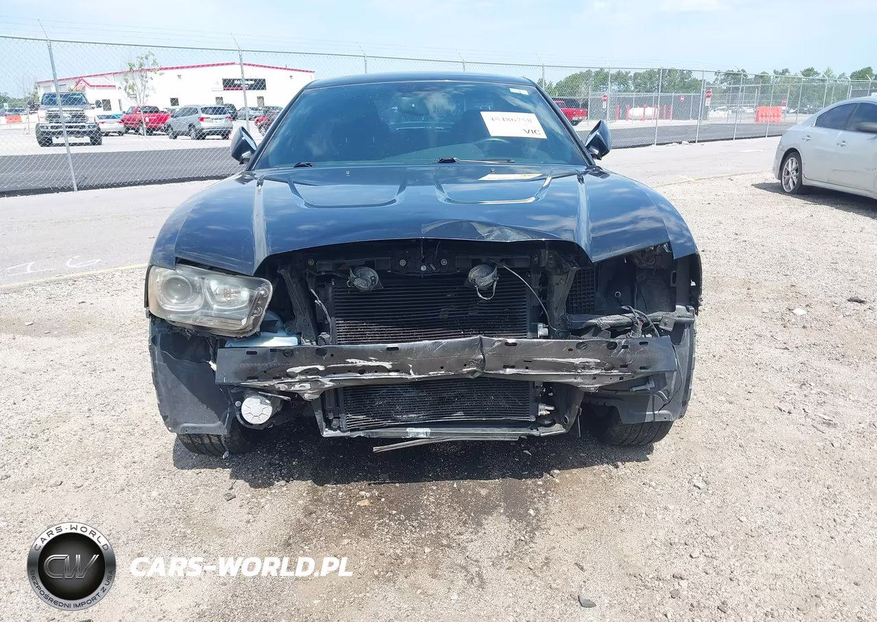 2014 Dodge Charger R-T VIN:2C3CDXDTXEH242462 - 6