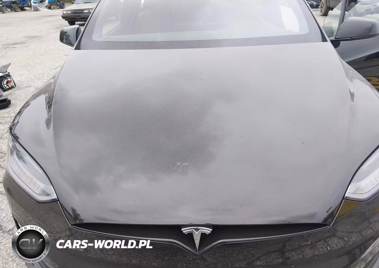 2023 Tesla Model X Dual Motor All-Wheel Drive-Standard Range VIN:7SAXCDE52PF427132 - 10