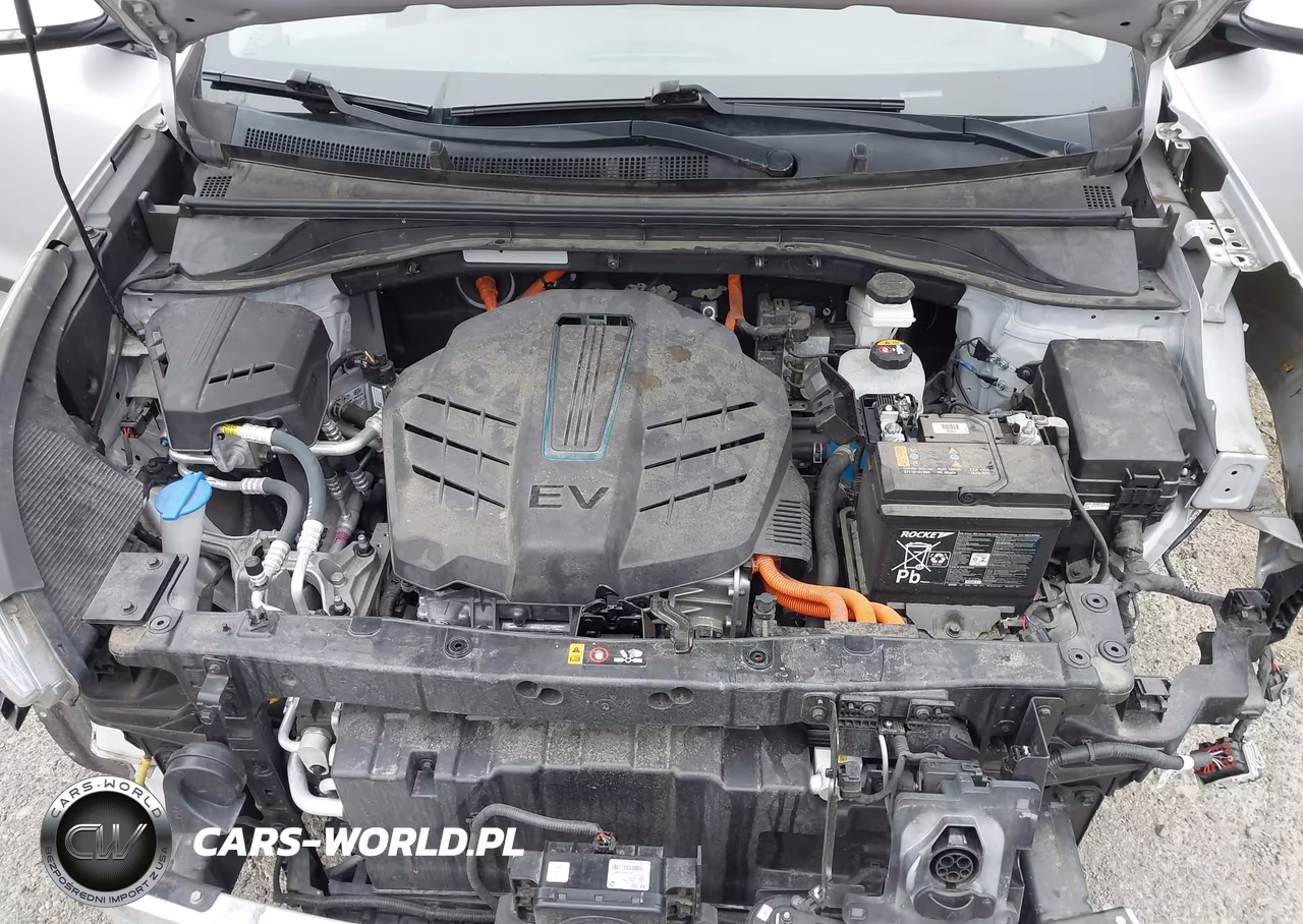 2020 Kia Niro Ev Ex Premium VIN:KNDCE3LG4L5047371 - 10