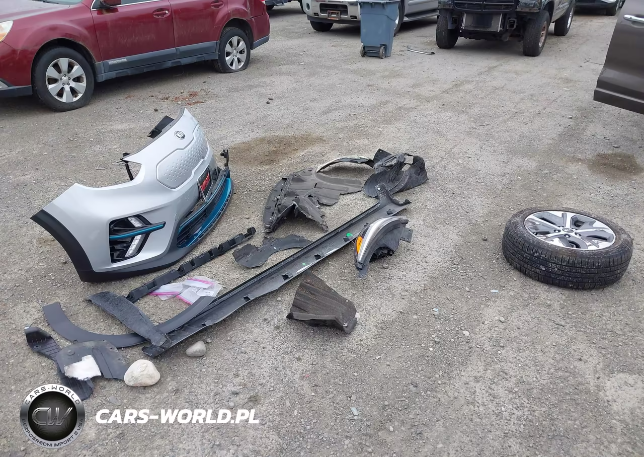 2020 Kia Niro Ev Ex Premium VIN:KNDCE3LG4L5047371 - 12