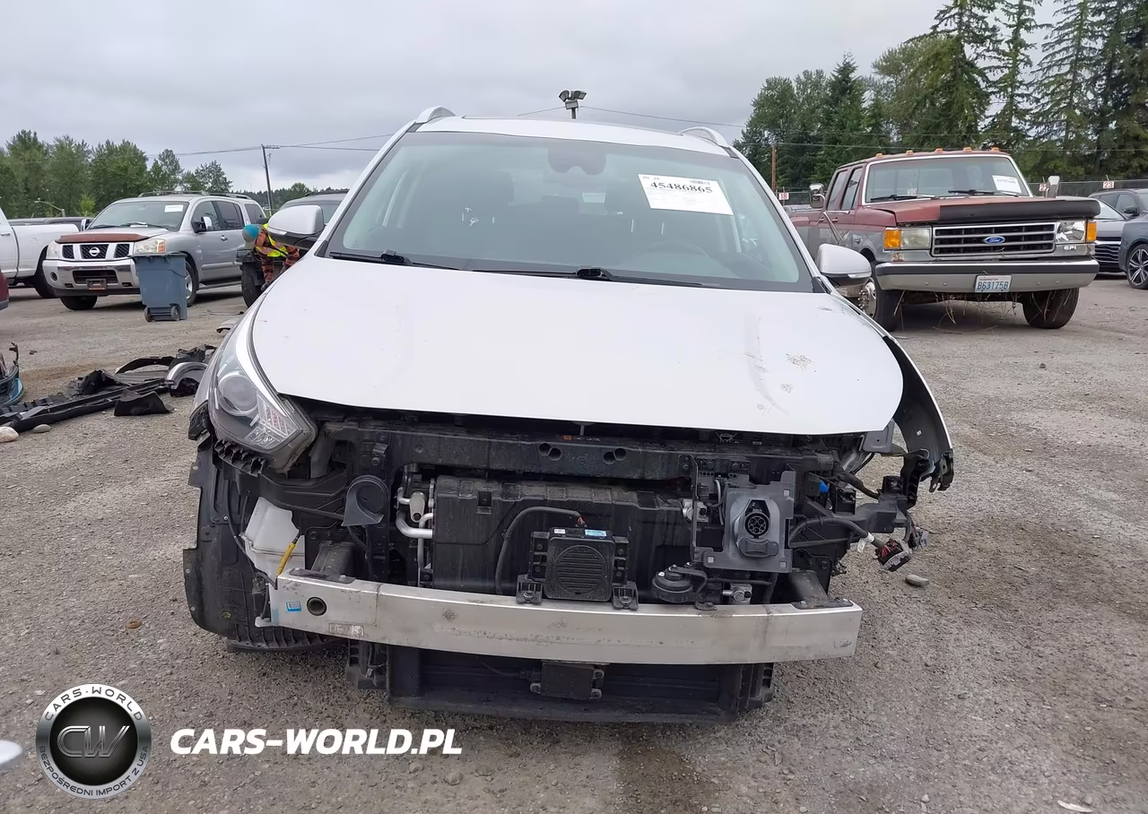 2020 Kia Niro Ev Ex Premium VIN:KNDCE3LG4L5047371 - 13