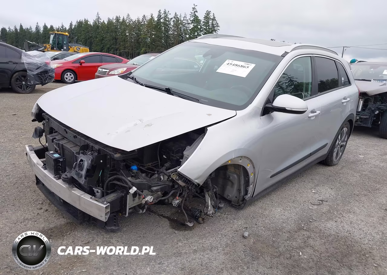 2020 Kia Niro Ev Ex Premium VIN:KNDCE3LG4L5047371 - 2