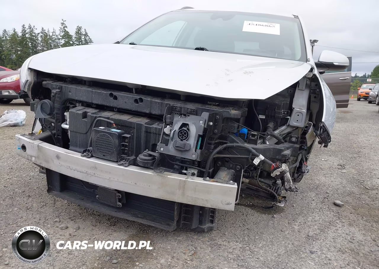 2020 Kia Niro Ev Ex Premium VIN:KNDCE3LG4L5047371 - 21