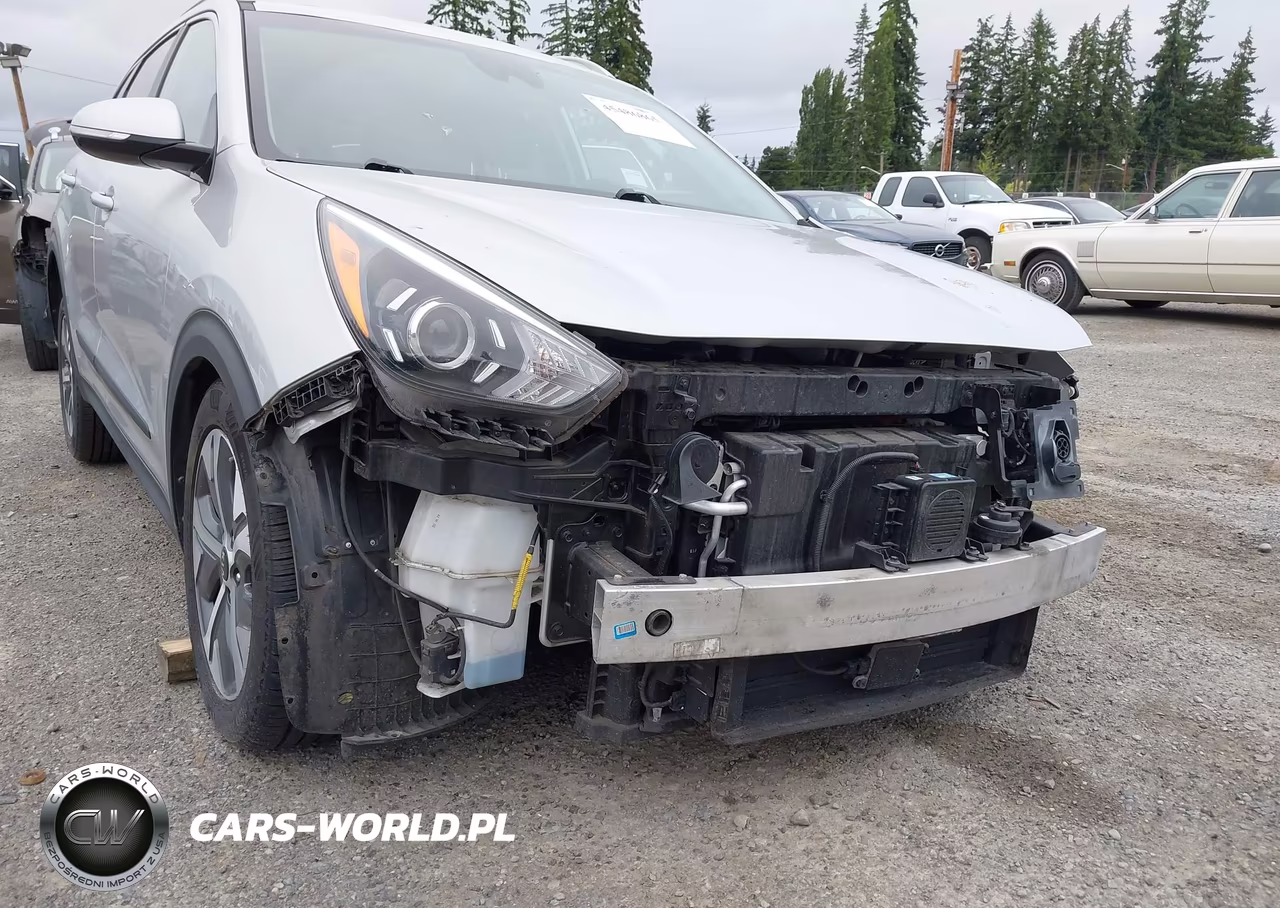 2020 Kia Niro Ev Ex Premium VIN:KNDCE3LG4L5047371 - 22