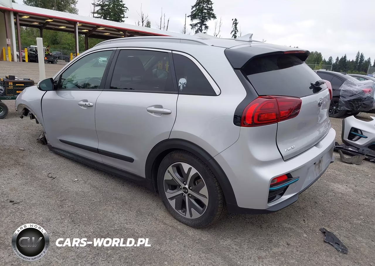 2020 Kia Niro Ev Ex Premium VIN:KNDCE3LG4L5047371 - 3