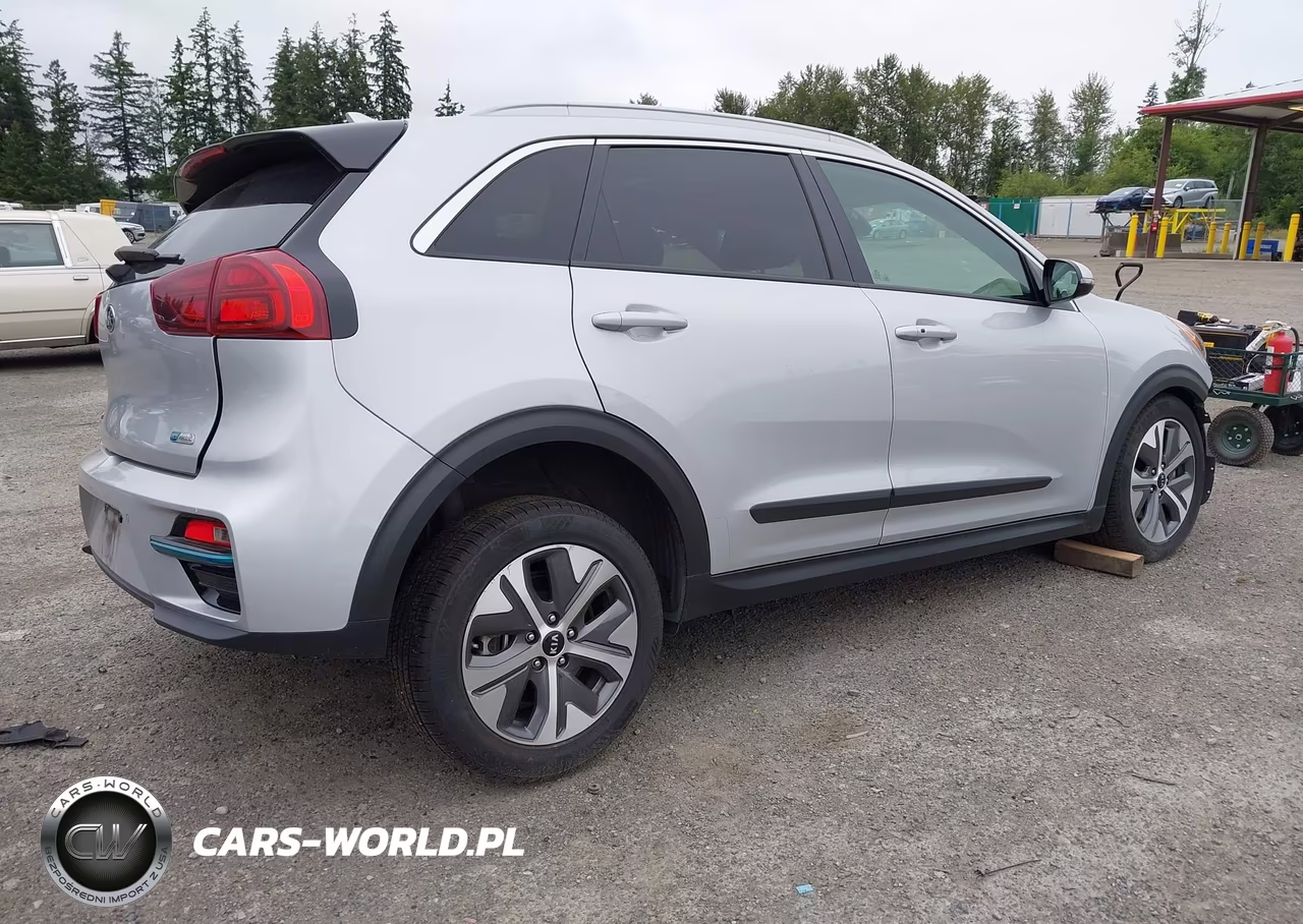 2020 Kia Niro Ev Ex Premium VIN:KNDCE3LG4L5047371 - 4