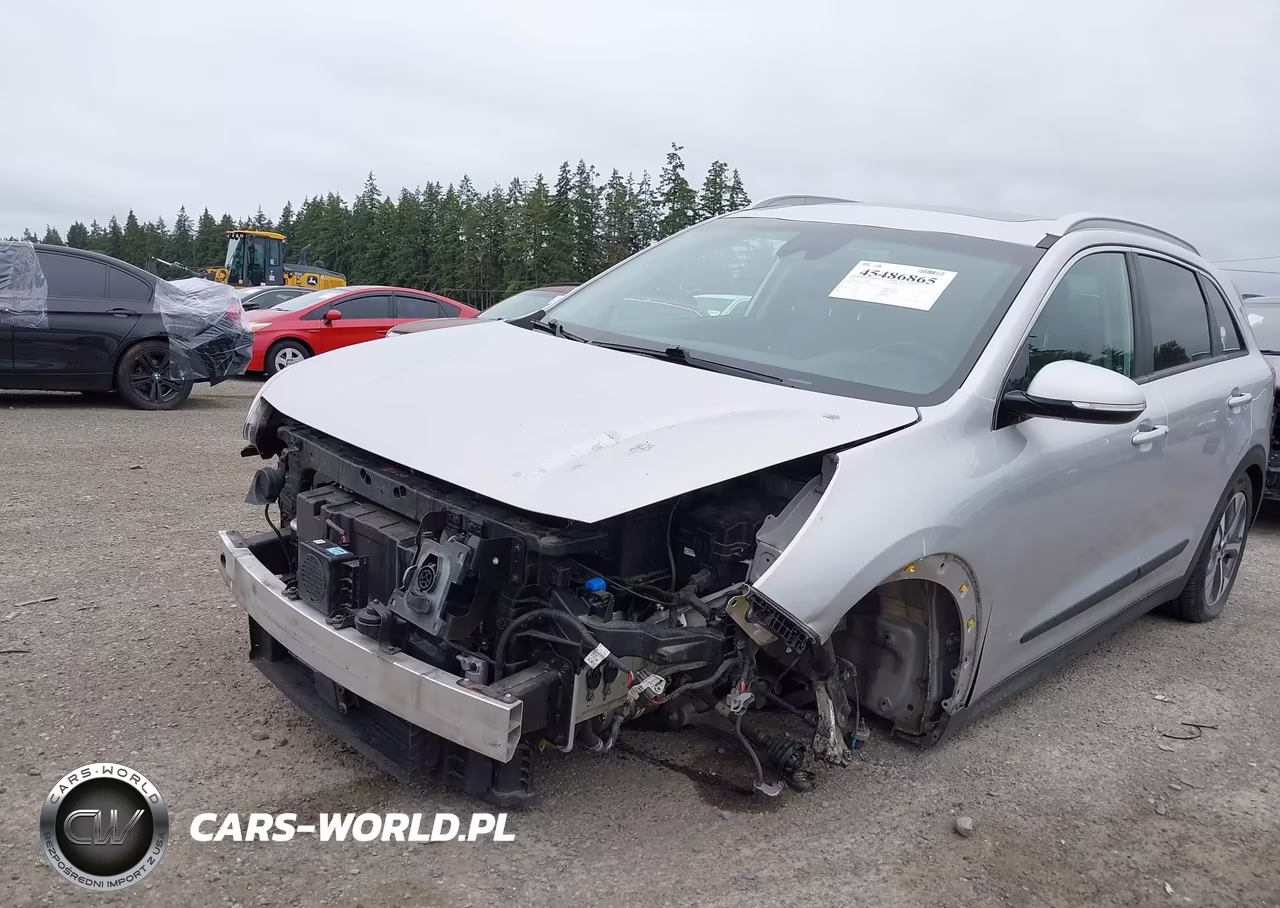 2020 Kia Niro Ev Ex Premium VIN:KNDCE3LG4L5047371 - 6