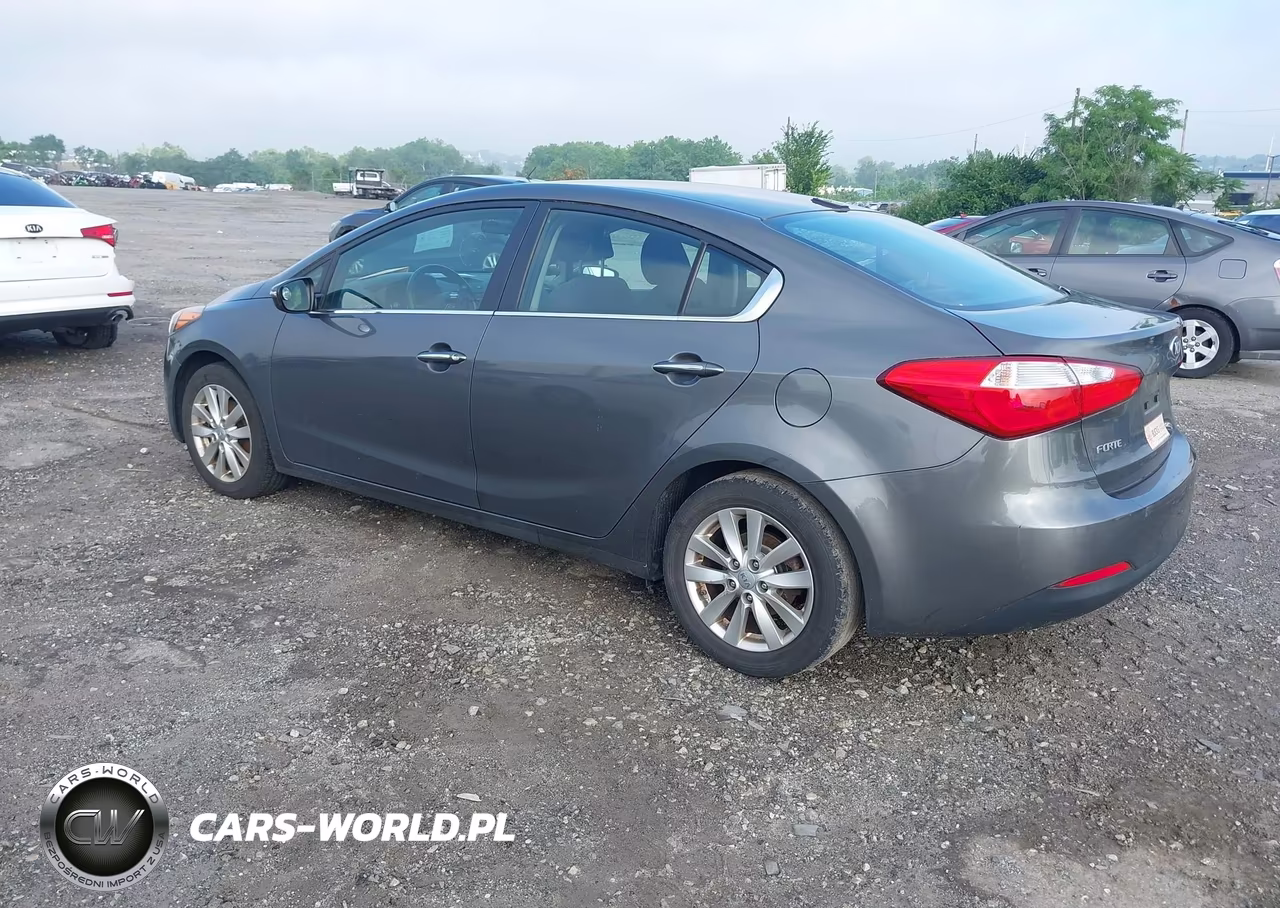 2014 Kia Forte Ex VIN:KNAFX4A88E5090796 - 3