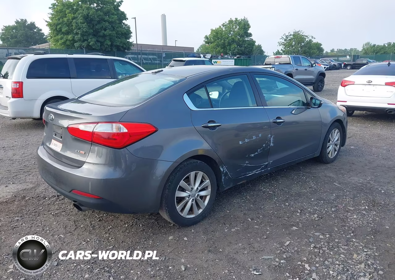 2014 Kia Forte Ex VIN:KNAFX4A88E5090796 - 4