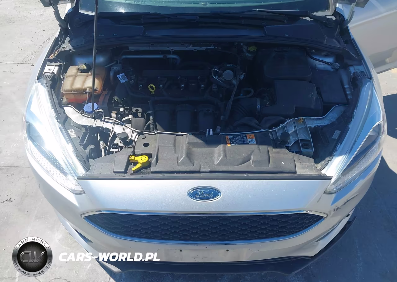 2016 Ford Focus Se VIN:1FADP3K2XGL369914 - 10