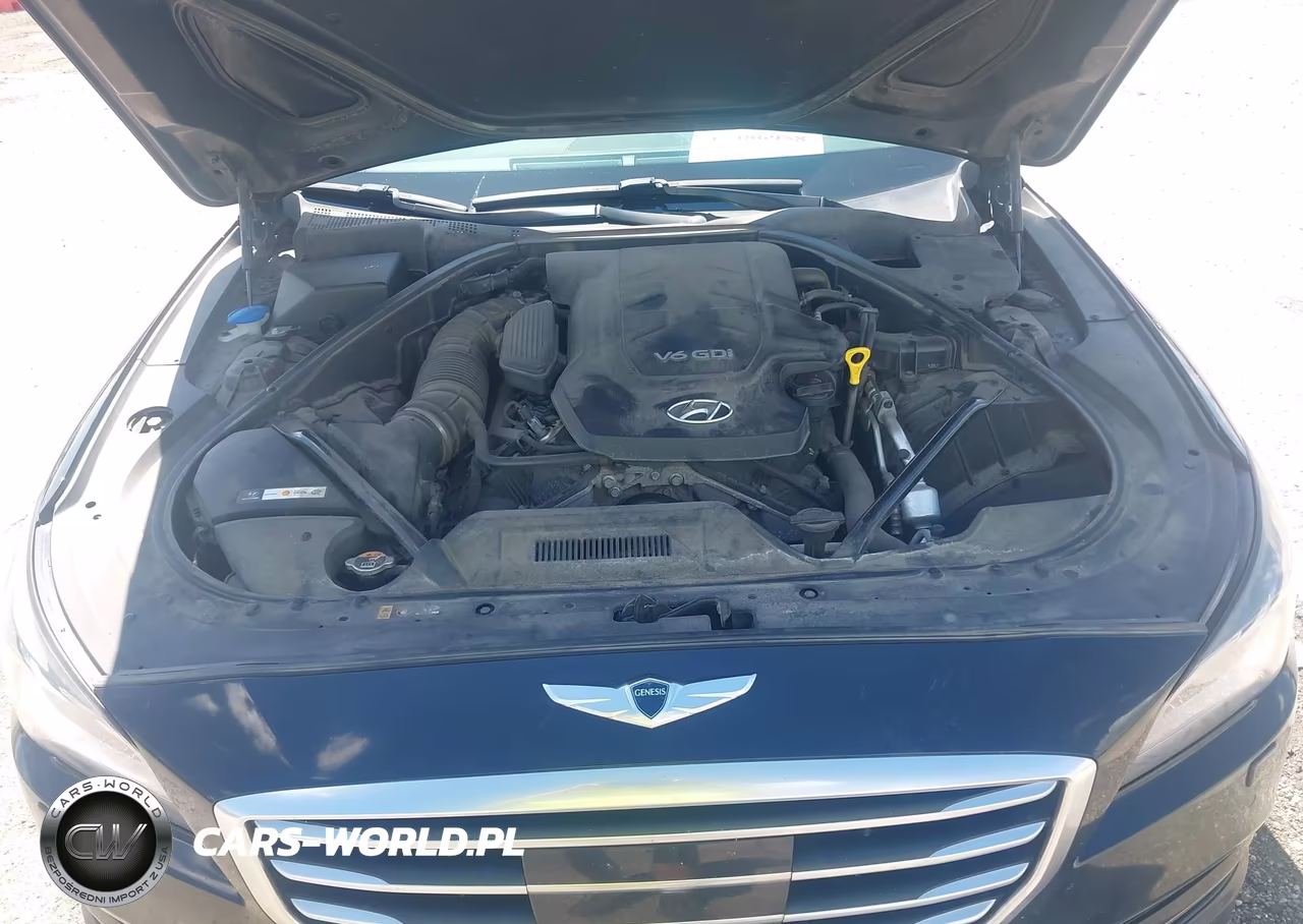 2015 Hyundai Genesis 3.8 VIN:KMHGN4JE9FU016664 - 10